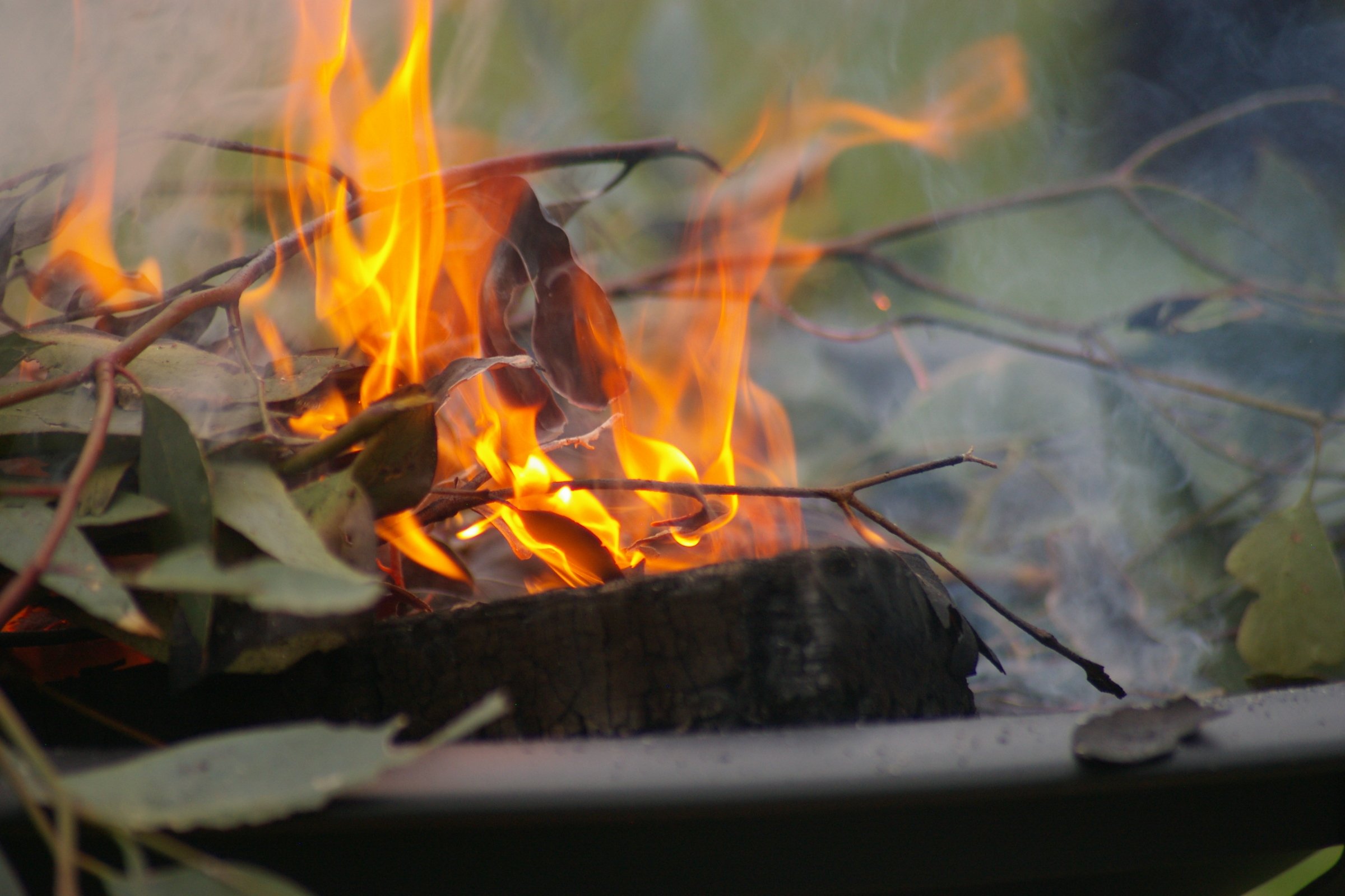 MMW Community Day 2025 3_Credit_ Nadia Hindrakusuma.JPG