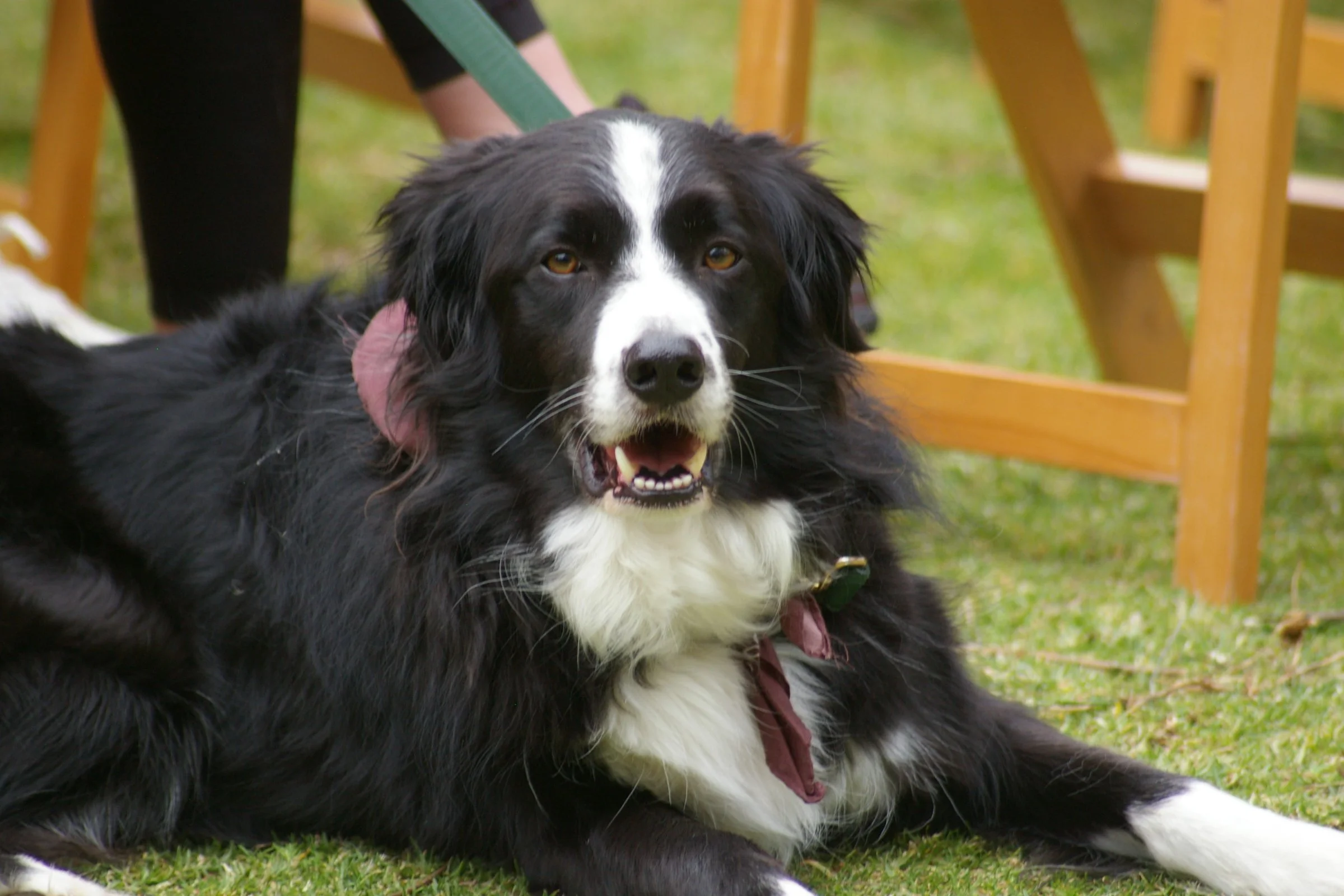 MMW Community Day 2025 14_Credit_ Nadia Hindrakusuma.JPG