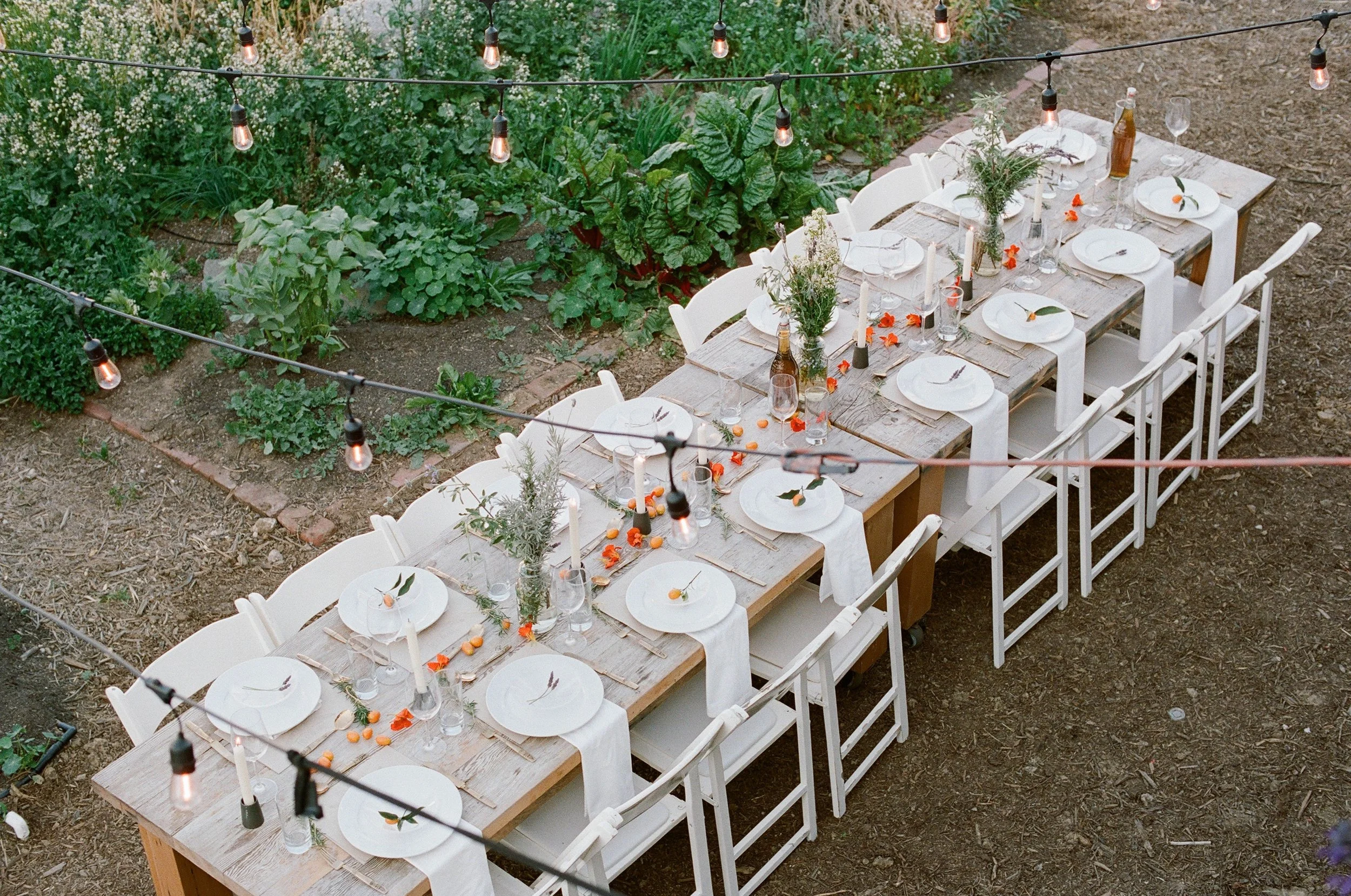 LCF_Client Photo_3.jpg