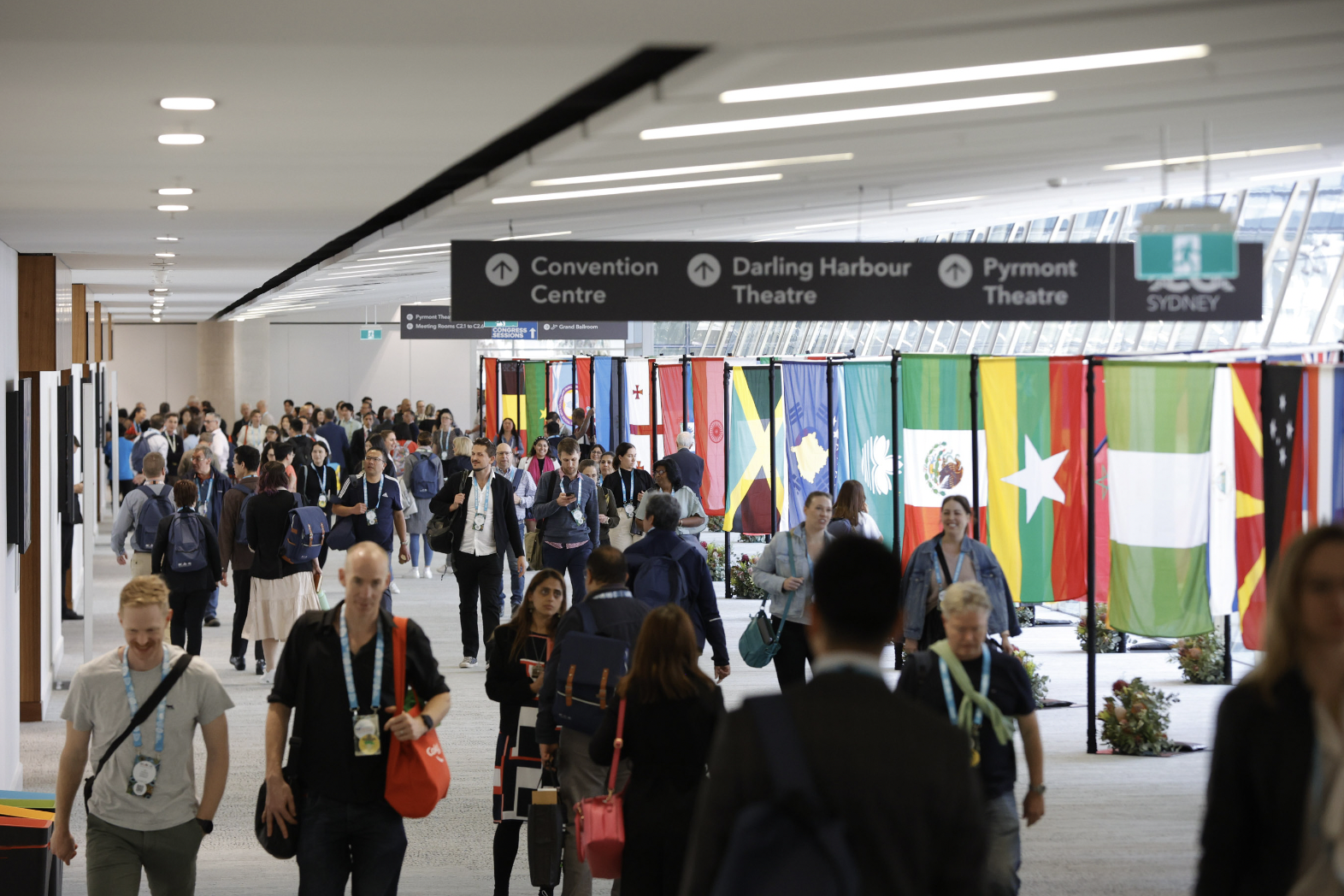 Screen Shot 2023-12-30 at 10.06.38 pm.png