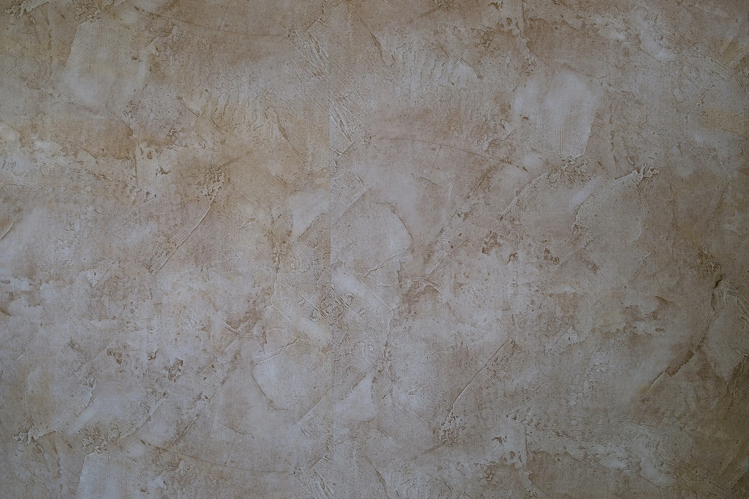 savant aesthetics rialto