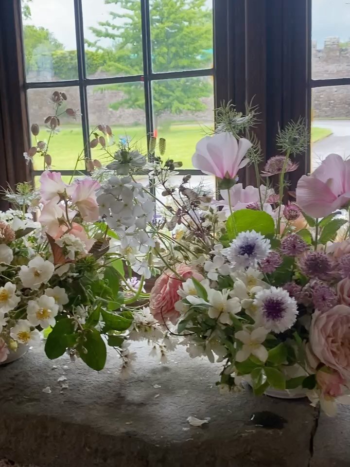 Table flowers waiting for their moment