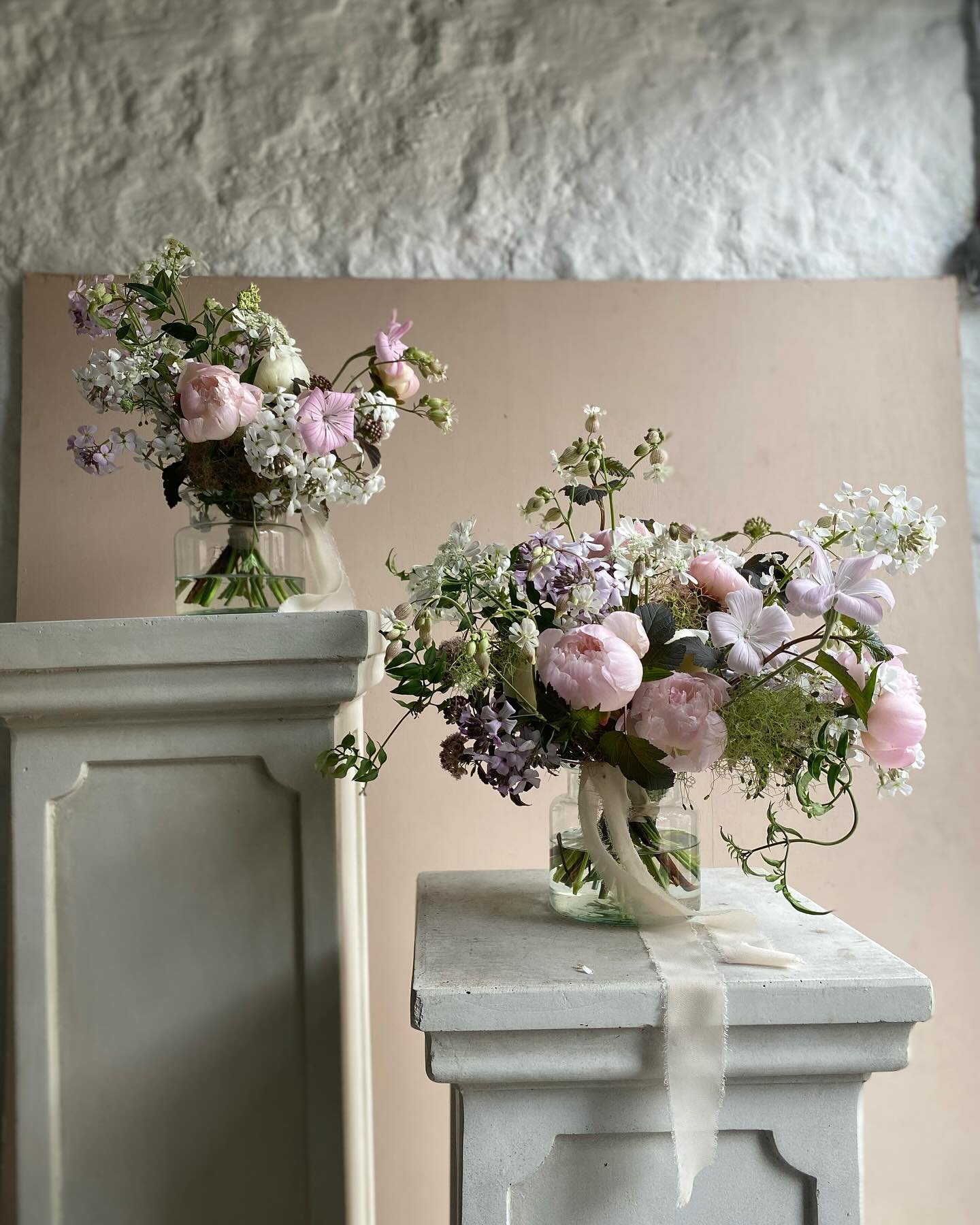Peony season in full swing