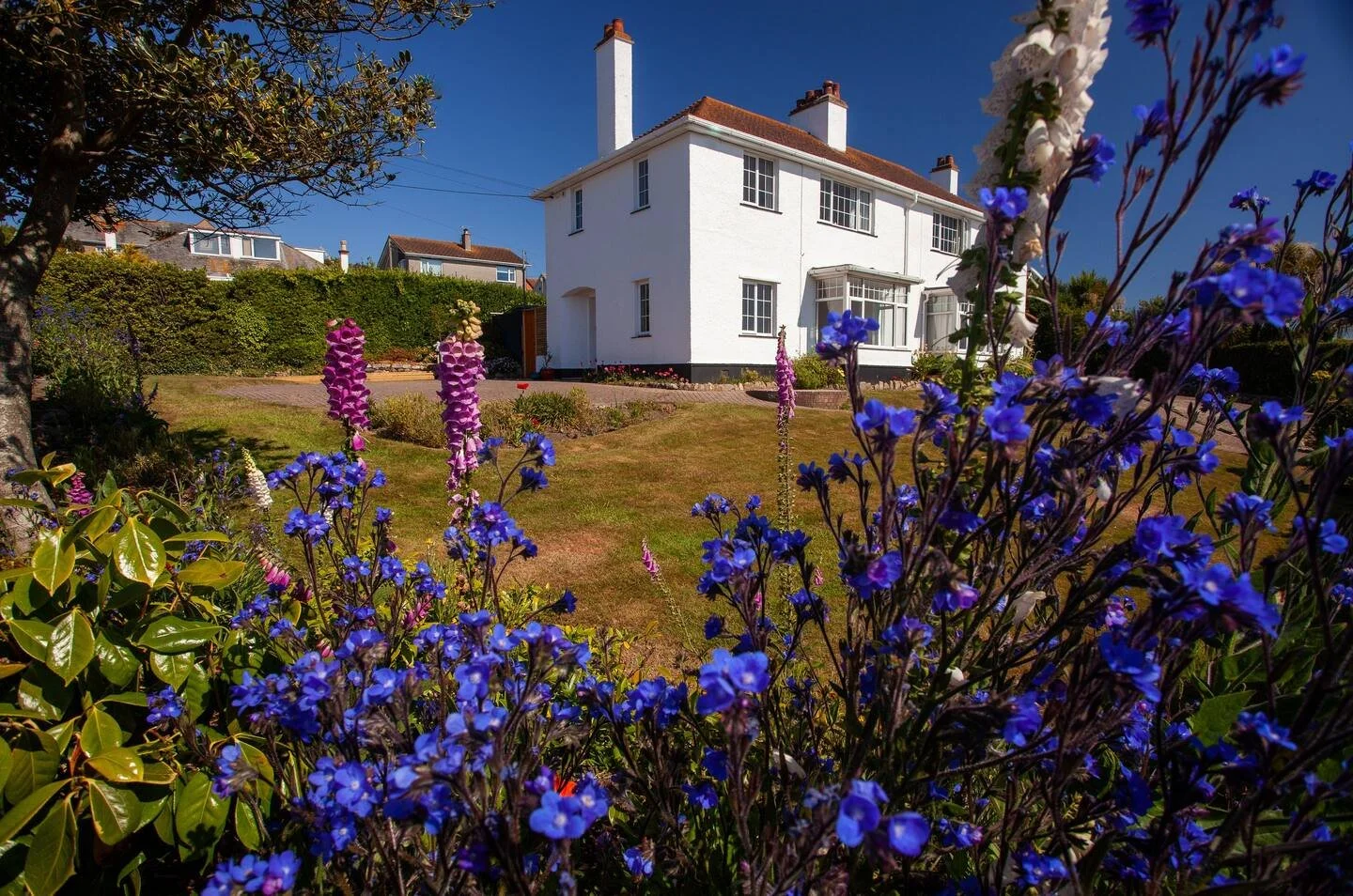 Hotels, Accommodation & Cheap Hotel Deals | Book at Expedia site - Penthouse Green Space Hideaways