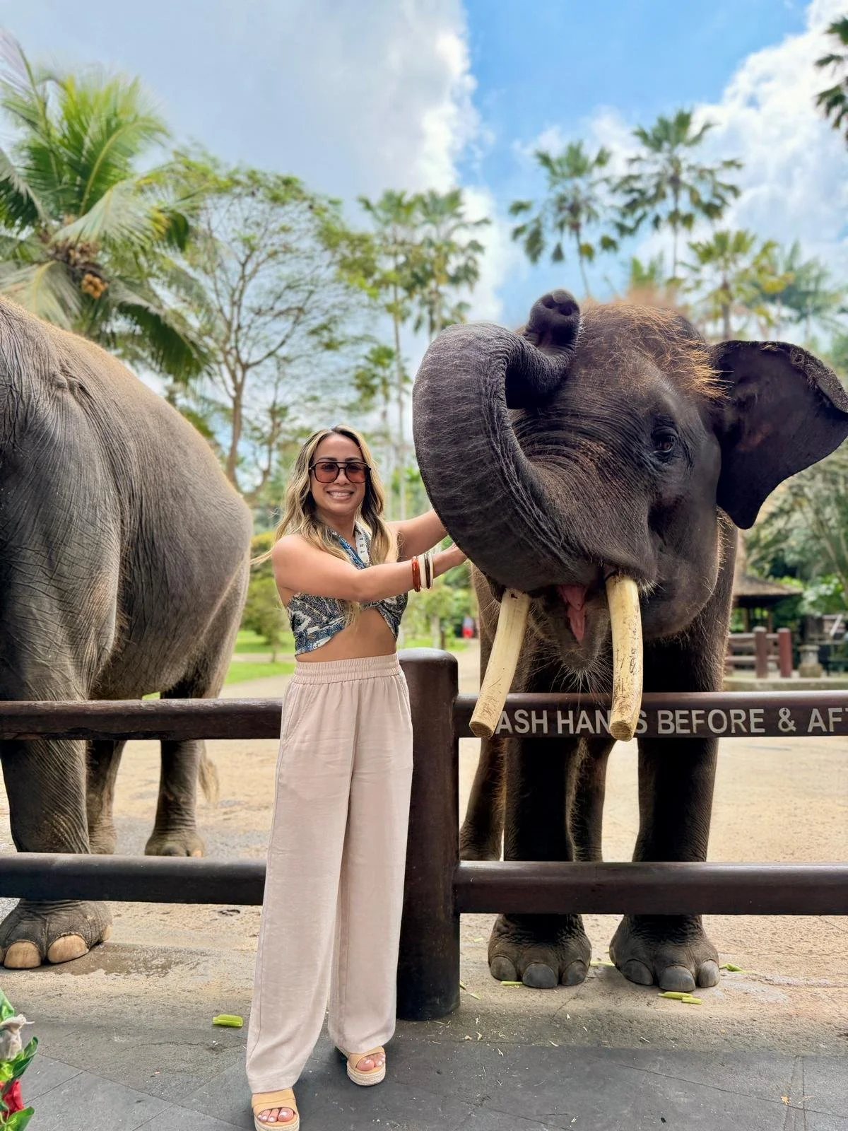 Lady Elephant.jpeg