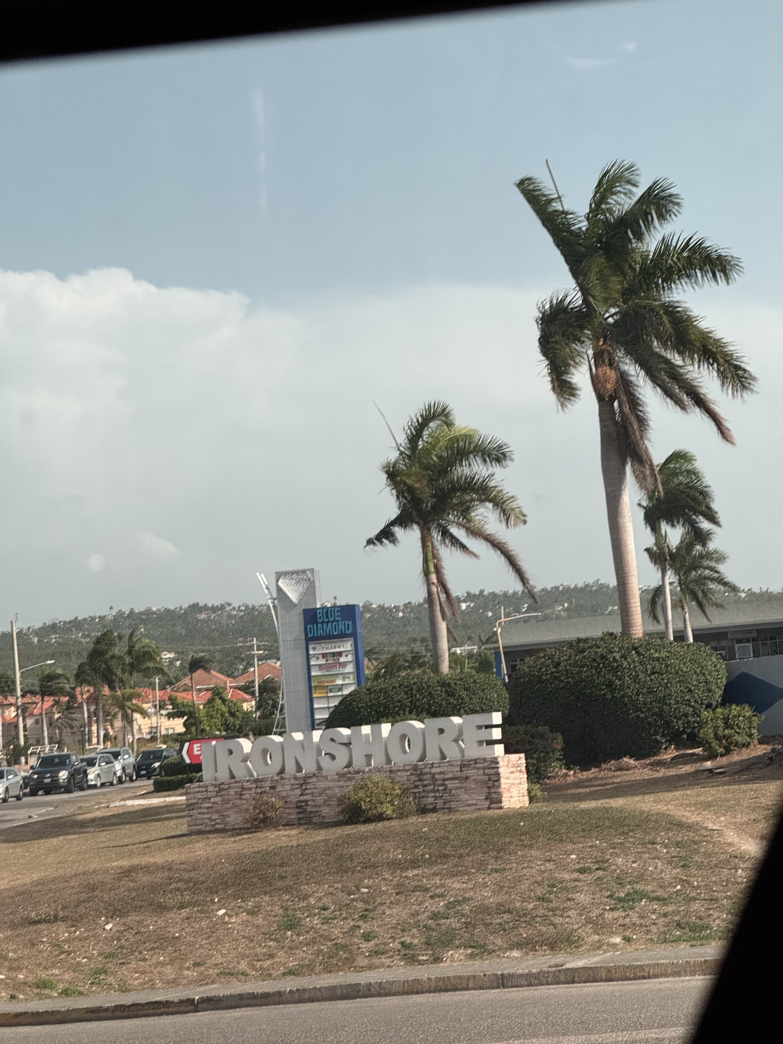 IMG_3870.jpeg