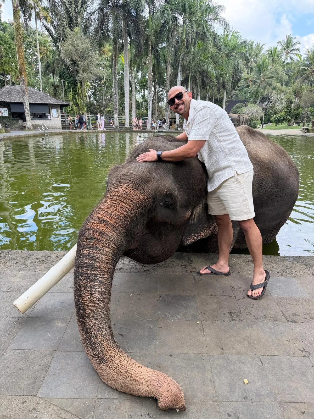 Man Elephant 2.jpeg
