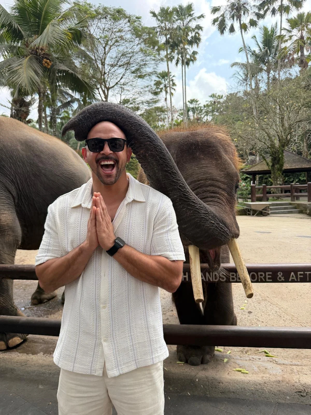 Man Elephant.jpeg