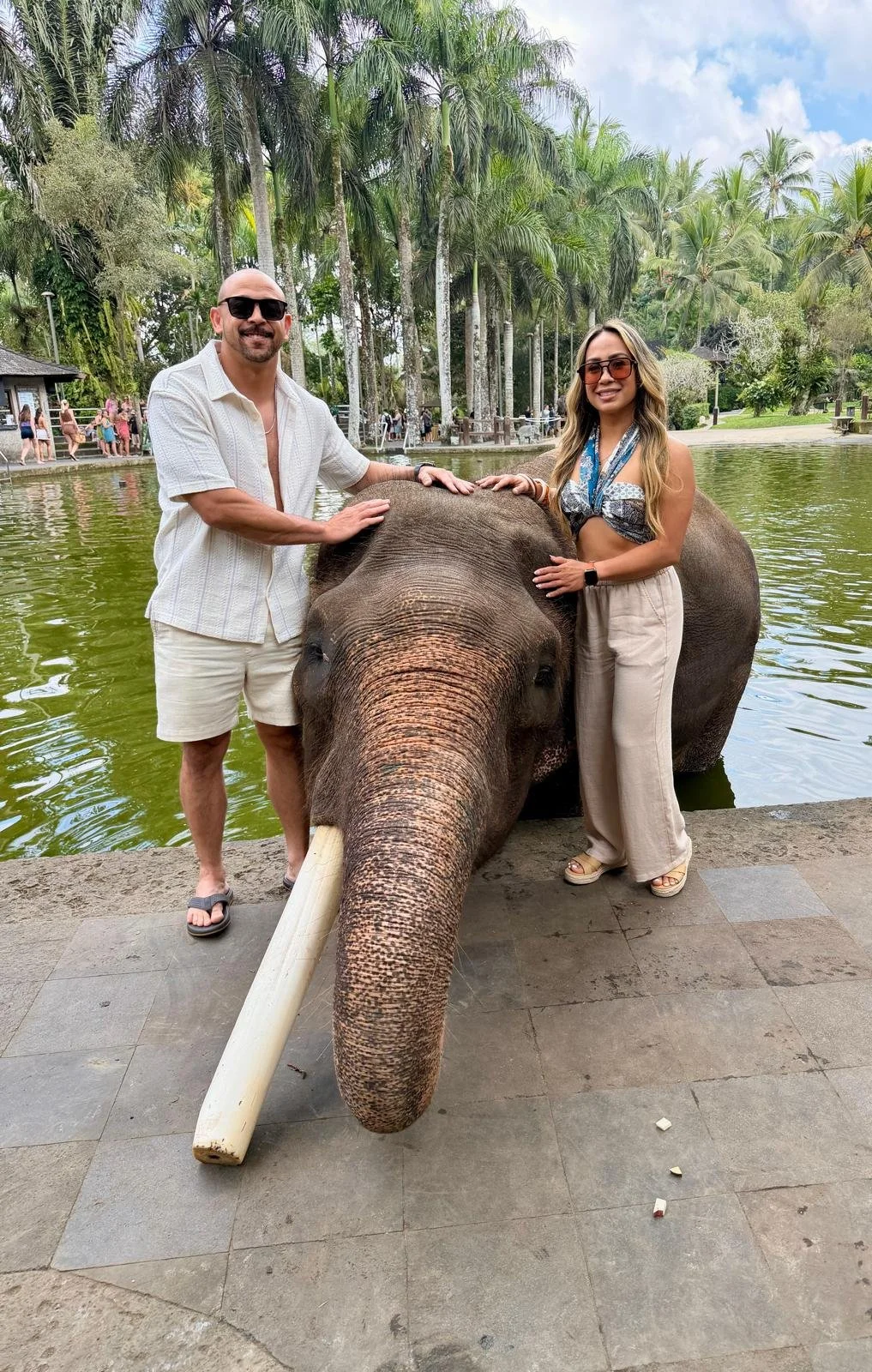 Couple Elephant.jpeg