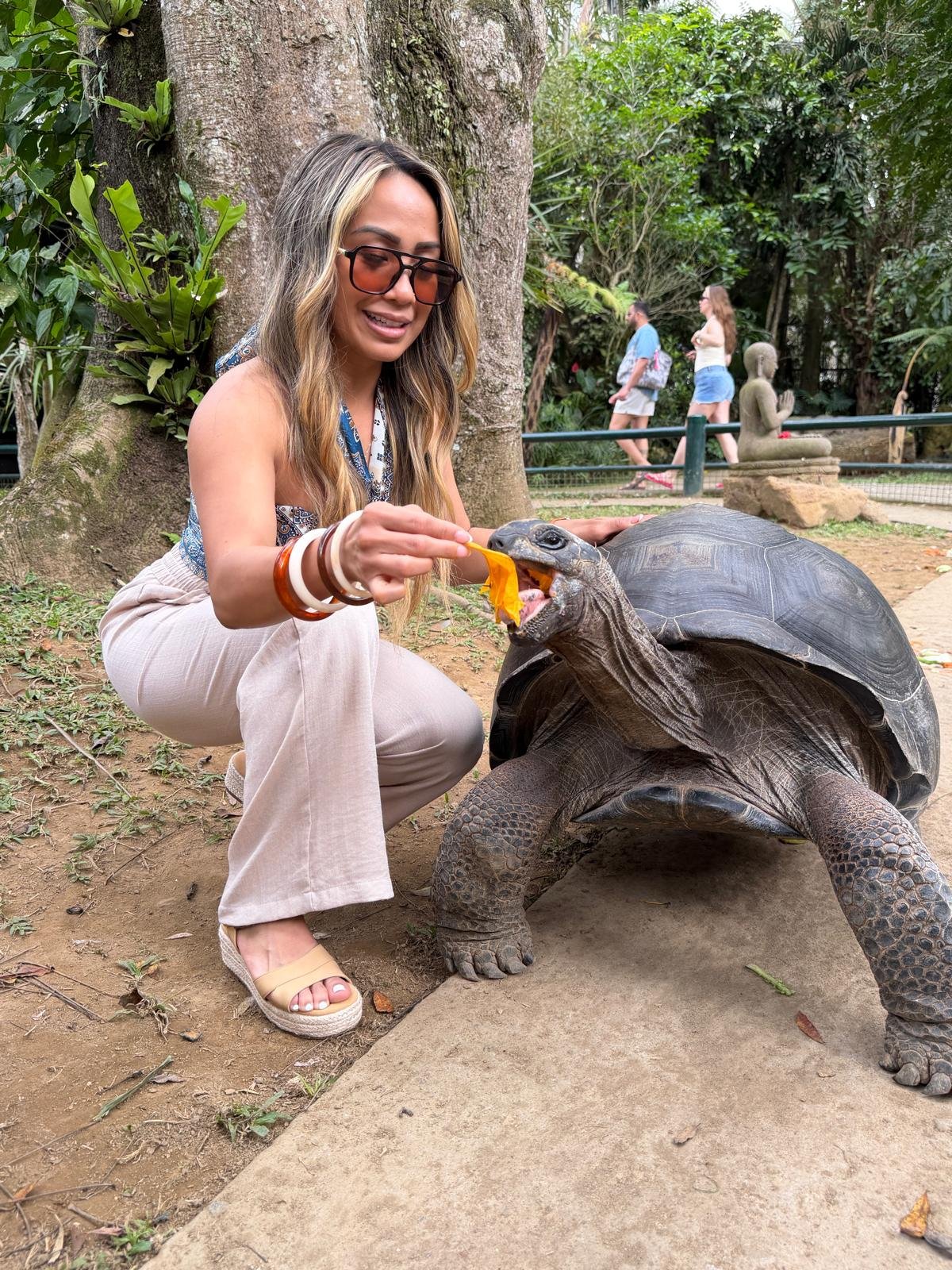Lady Turtle.jpeg