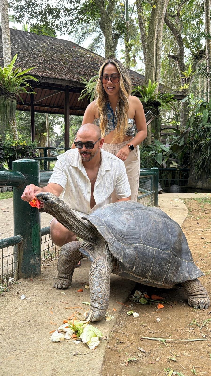 Couple Turtle.jpeg