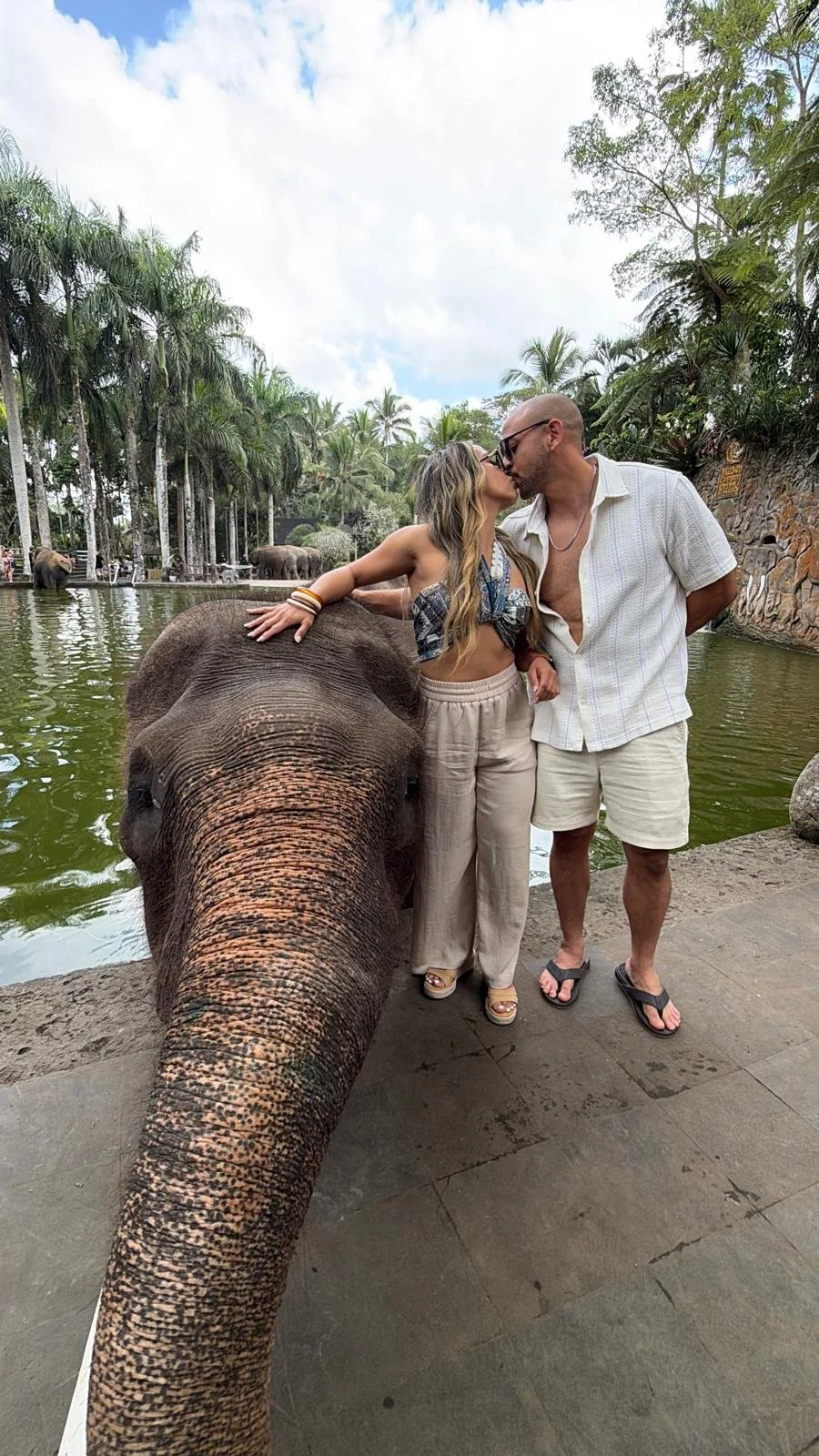 Couple Kiss Elephant .jpeg