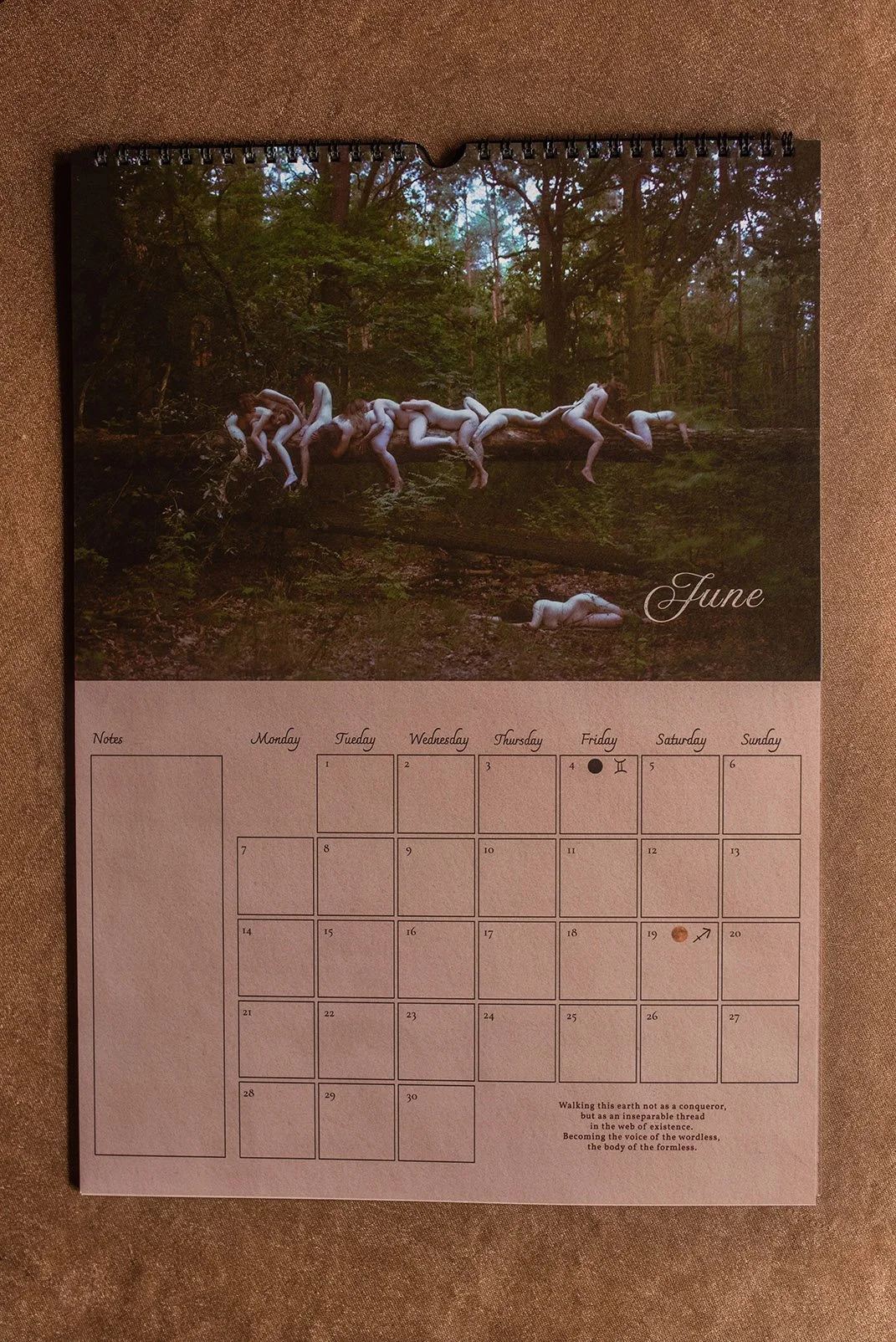 DSC_5195 Kopie.jpg