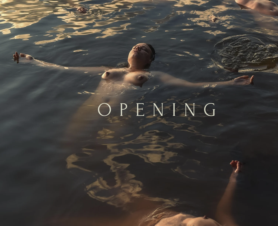 The Opening: Regular Ticket