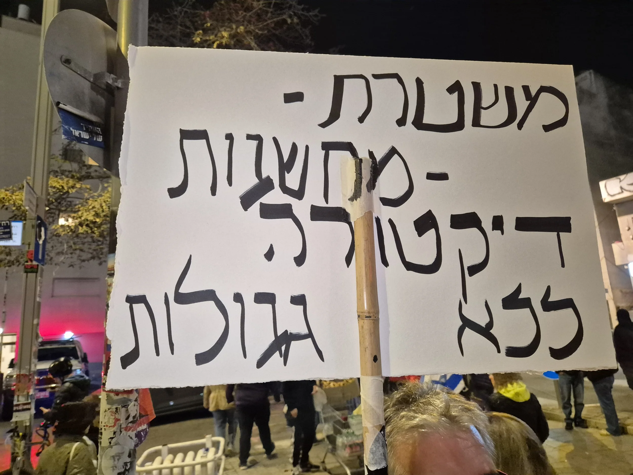 DemoSigns_Democracy_24012026 (29).jpg