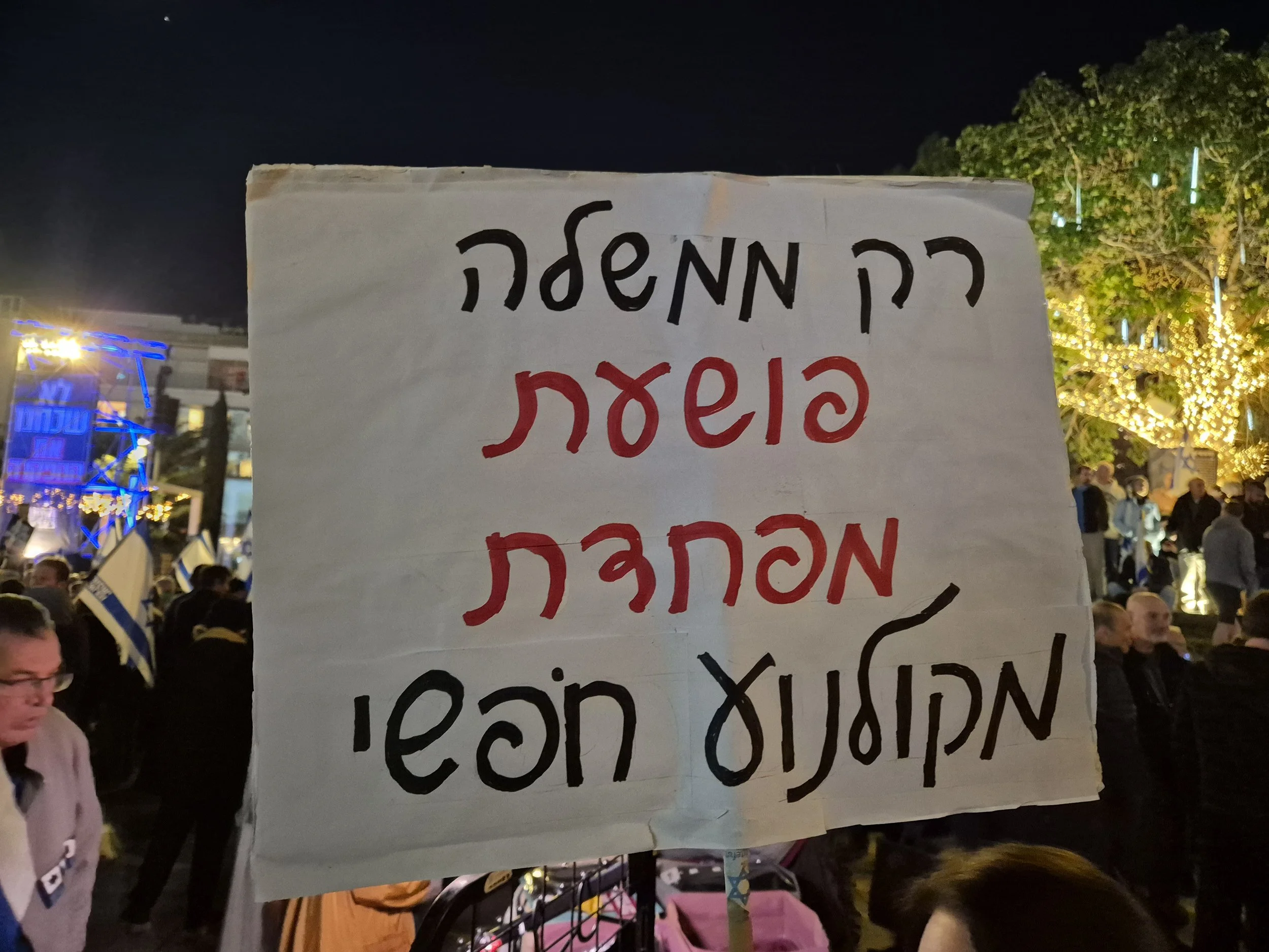 DemoSign_Democracy_03012026 (18).jpg