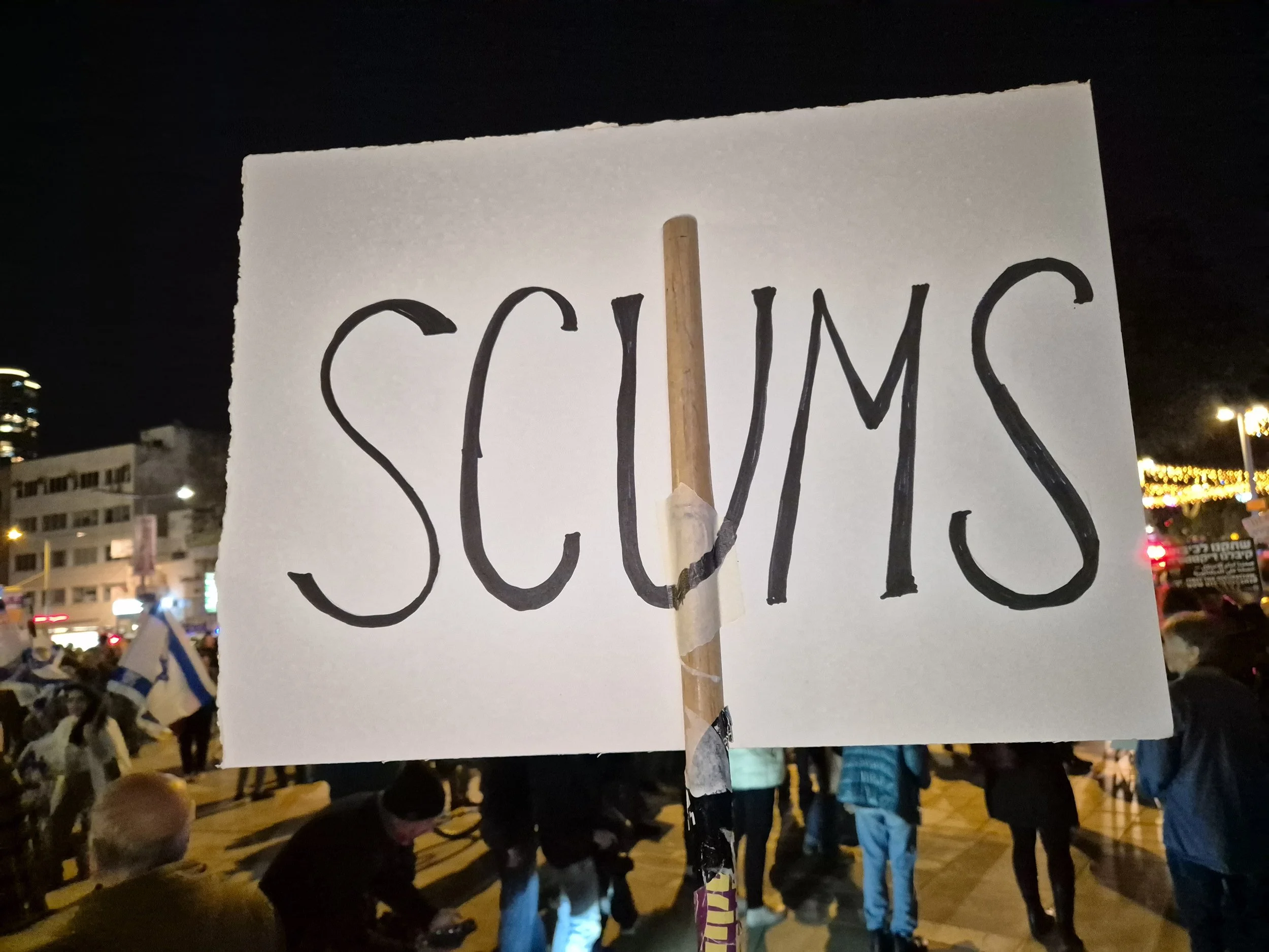 _DemoSigns_Democracy_20122025 (14).jpg