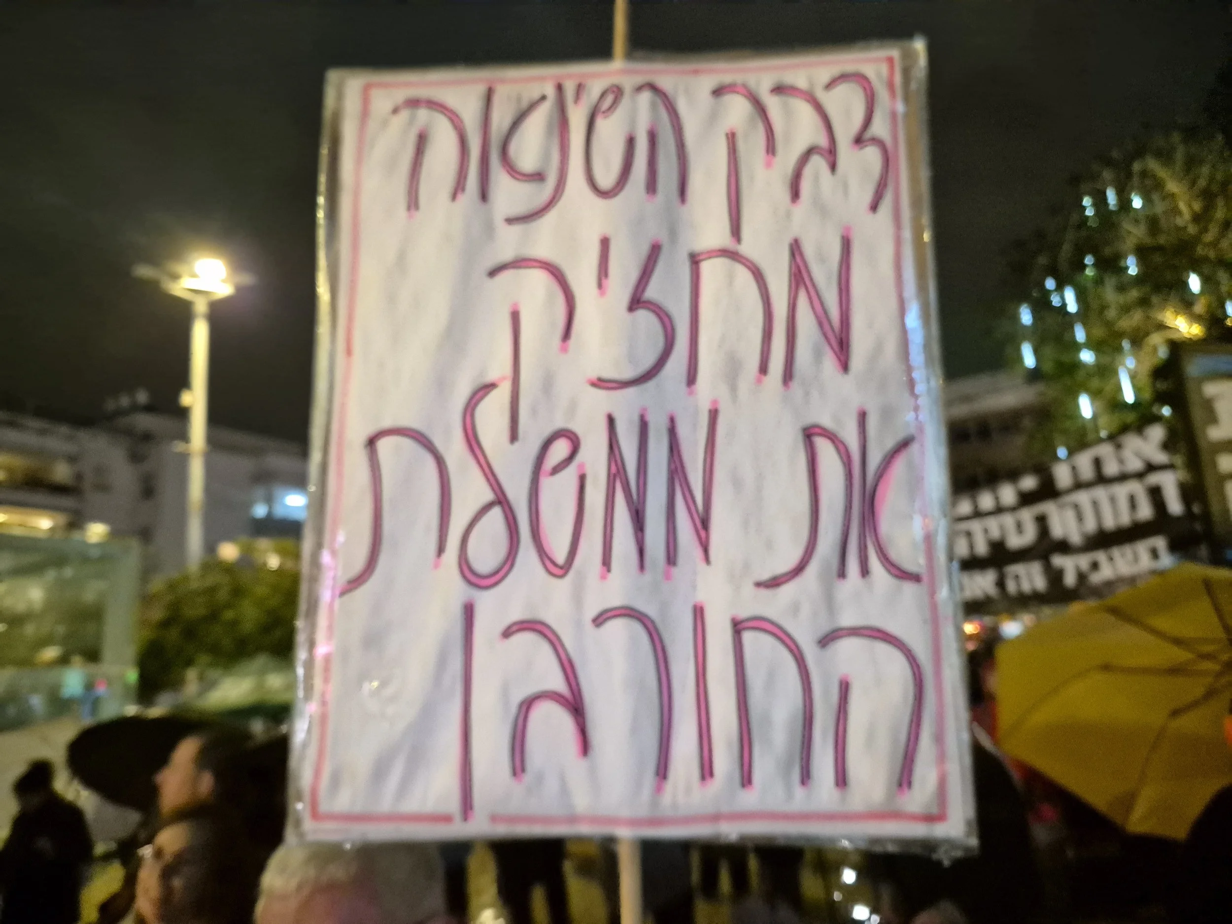 DemoSigns_Democracy_27122025 (15).jpg