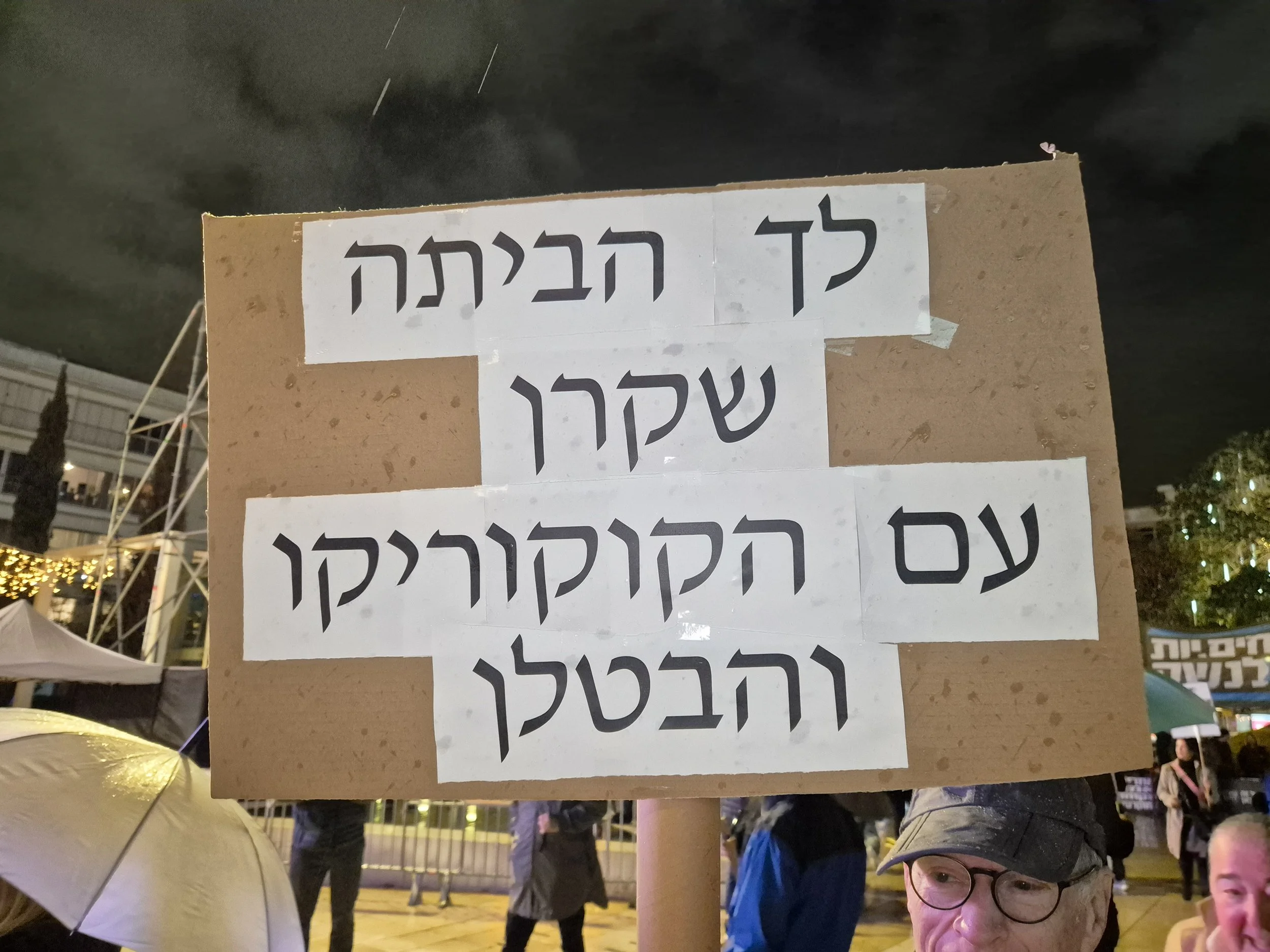 DemoSigns_Democracy_27122025 (9).jpg