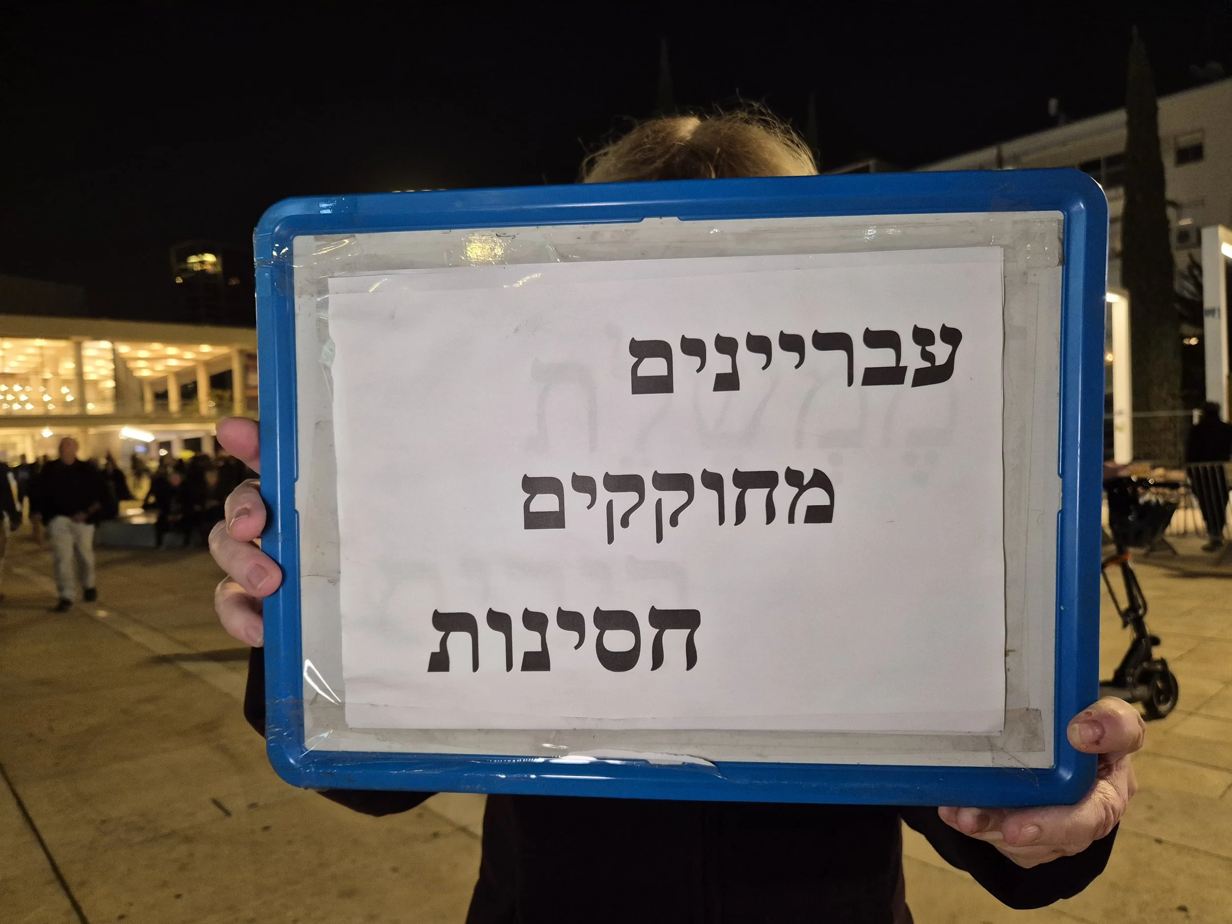 DemoSigns_Democracy_24012026 (8).jpg