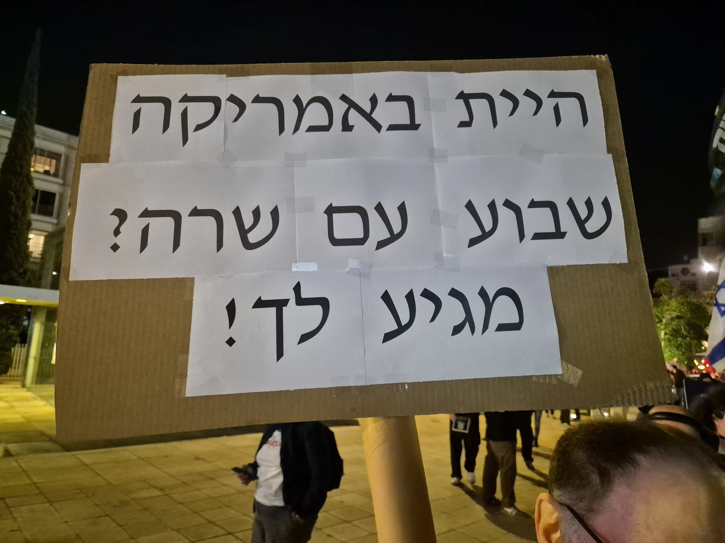 DemoSign_Democracy_03012026 (7).jpg