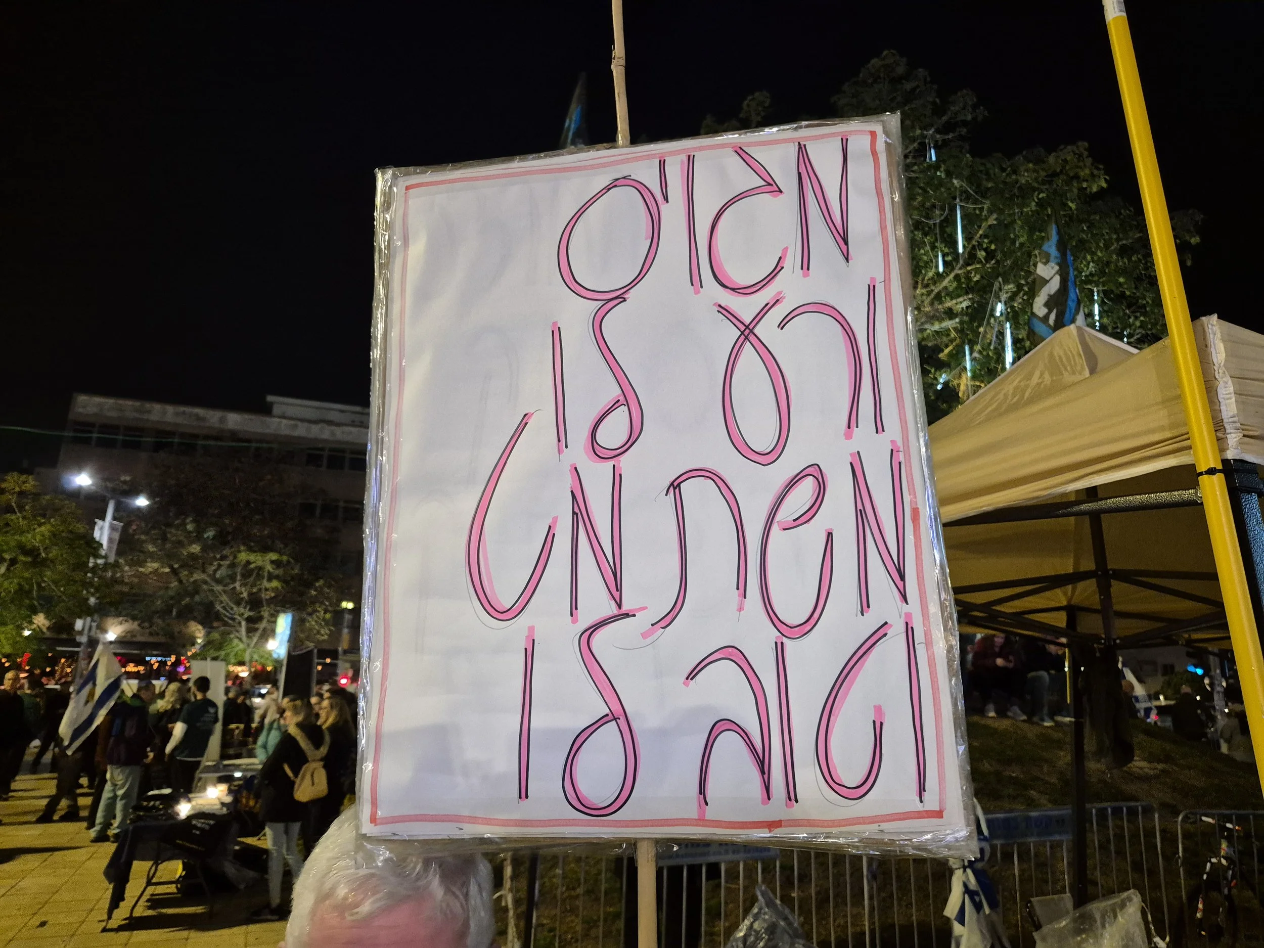 DemoSigns_Democracy_24012026 (24).jpg