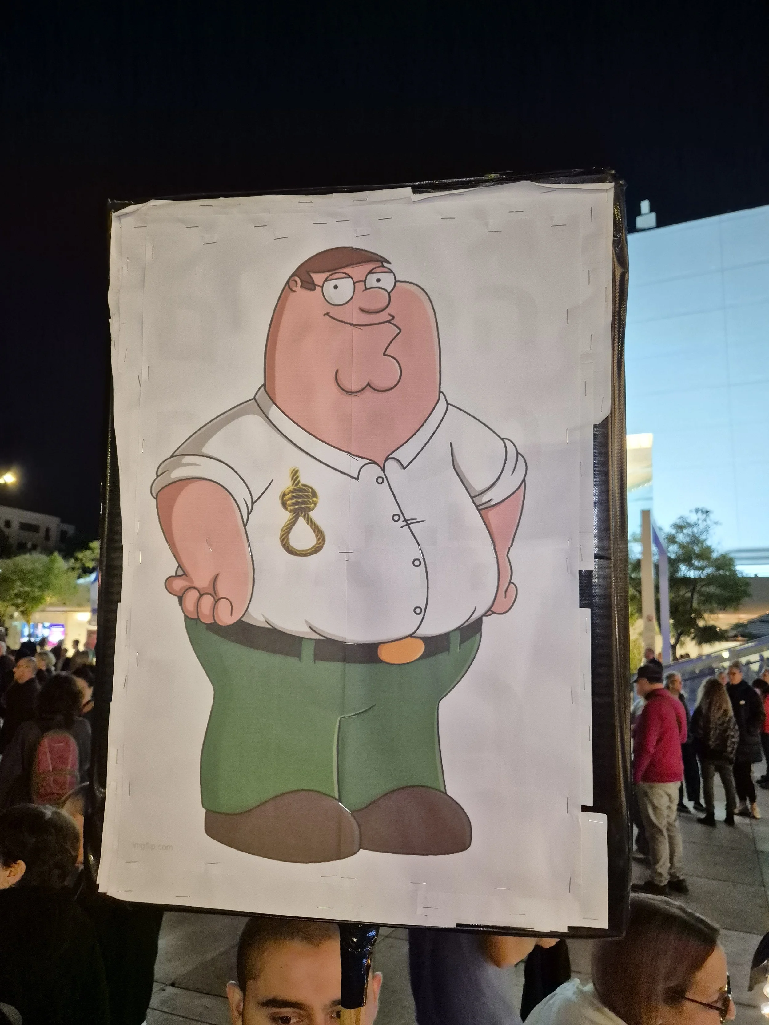 _DemoSigns_Democracy_20122025 (18).jpg