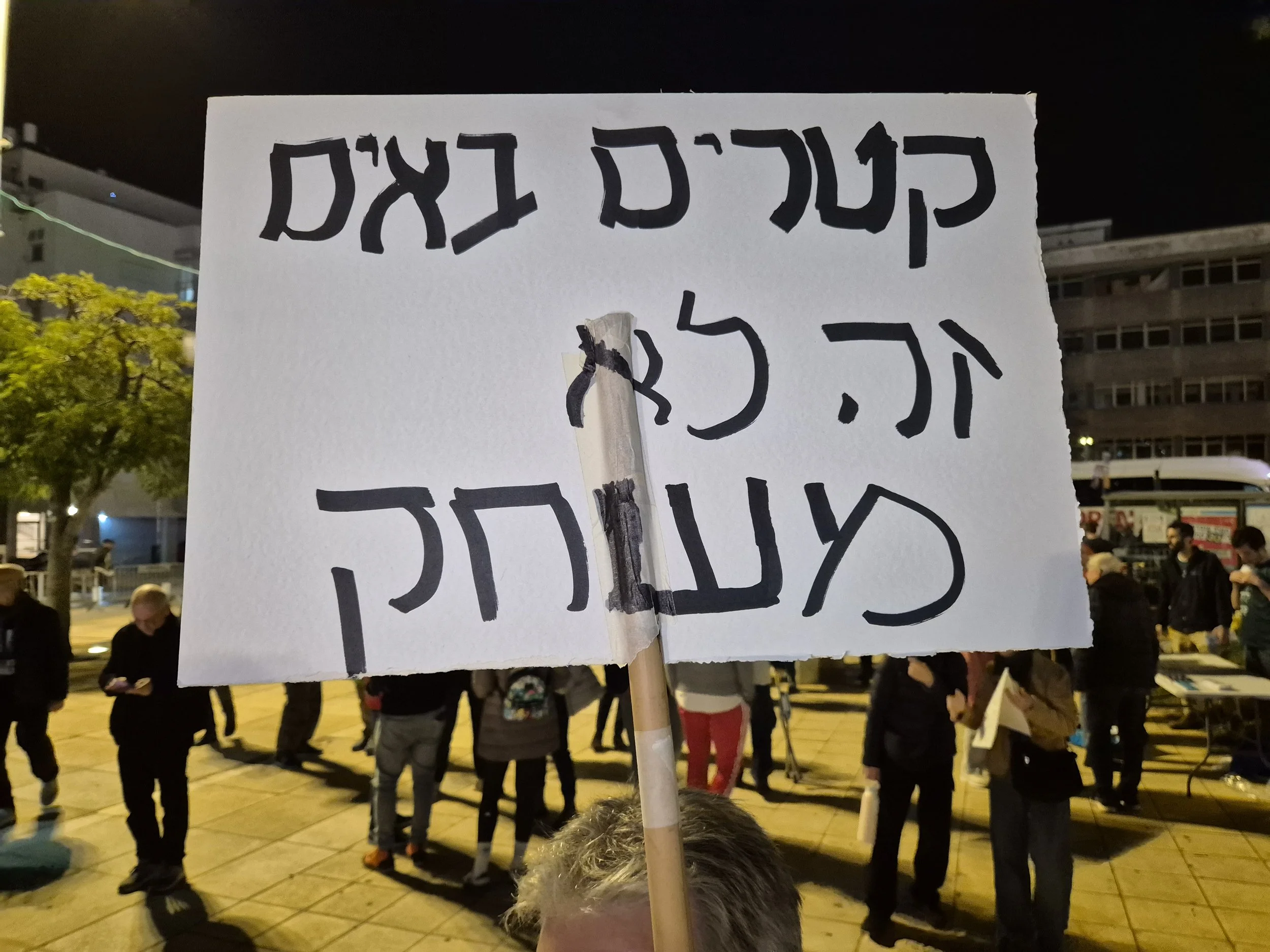 DemoSigns_Democracy_10012026 (9).jpg