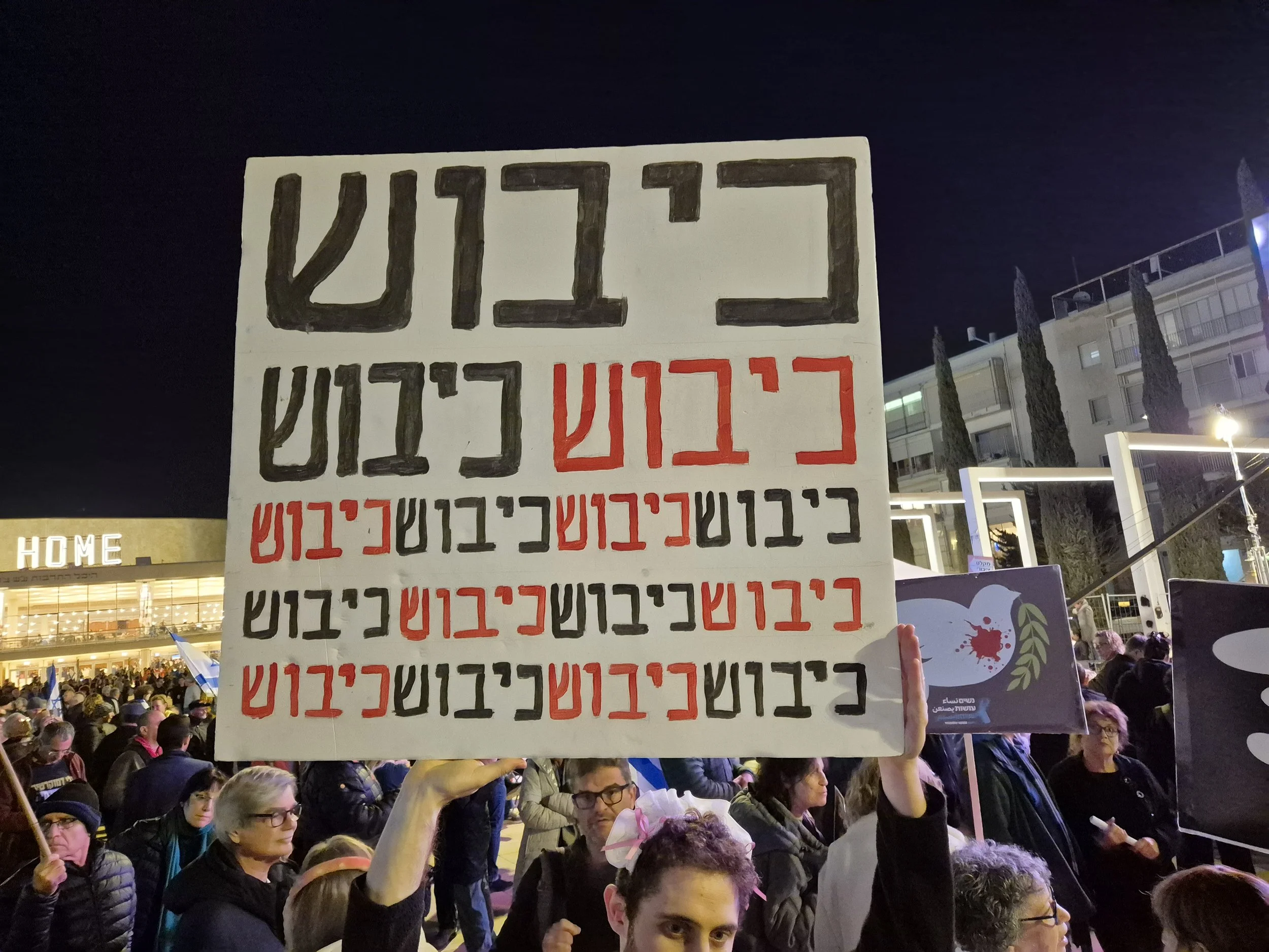 DemoSigns_Democracy_10012026 (22).jpg