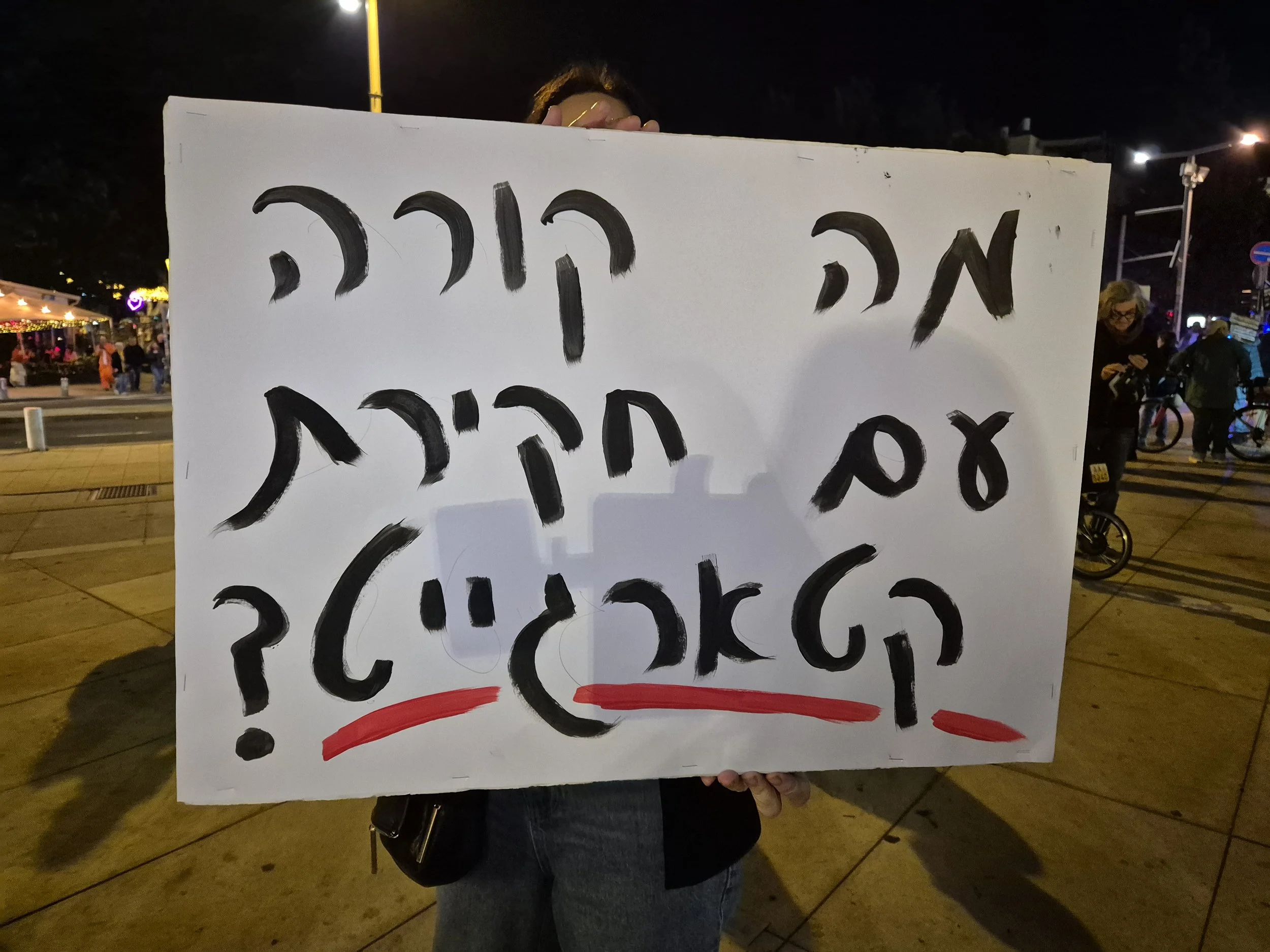 _DemoSigns_Democracy_20122025 (7).jpg