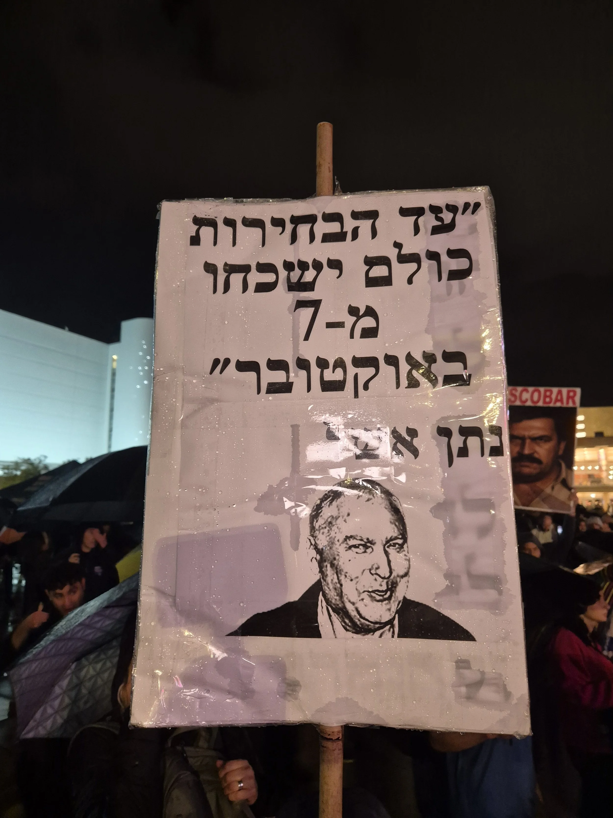 DemoSigns_Democracy_27122025 (19).jpg