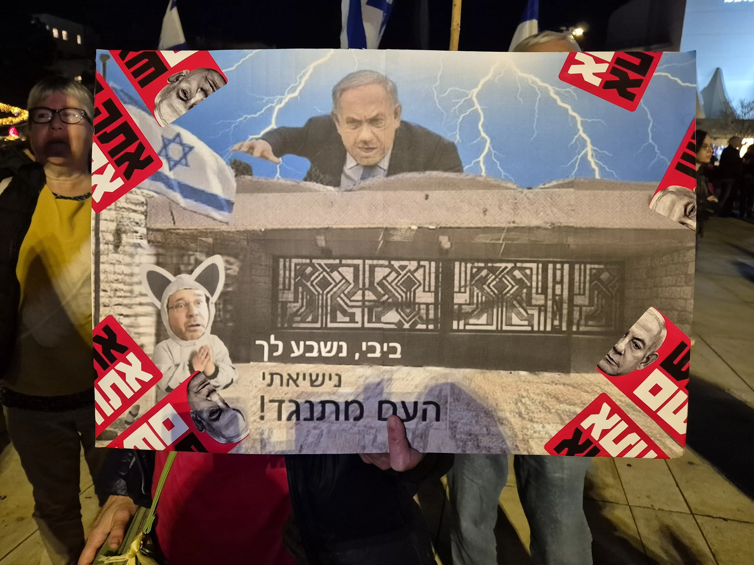 _DemoSigns_Democracy_20122025 (8).jpg