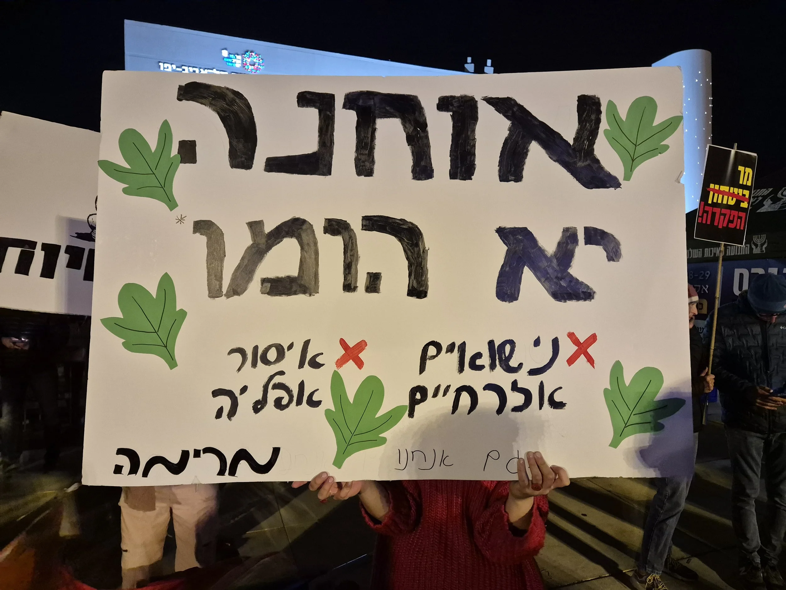 DemoSign_Democracy_03012026 (10).jpg