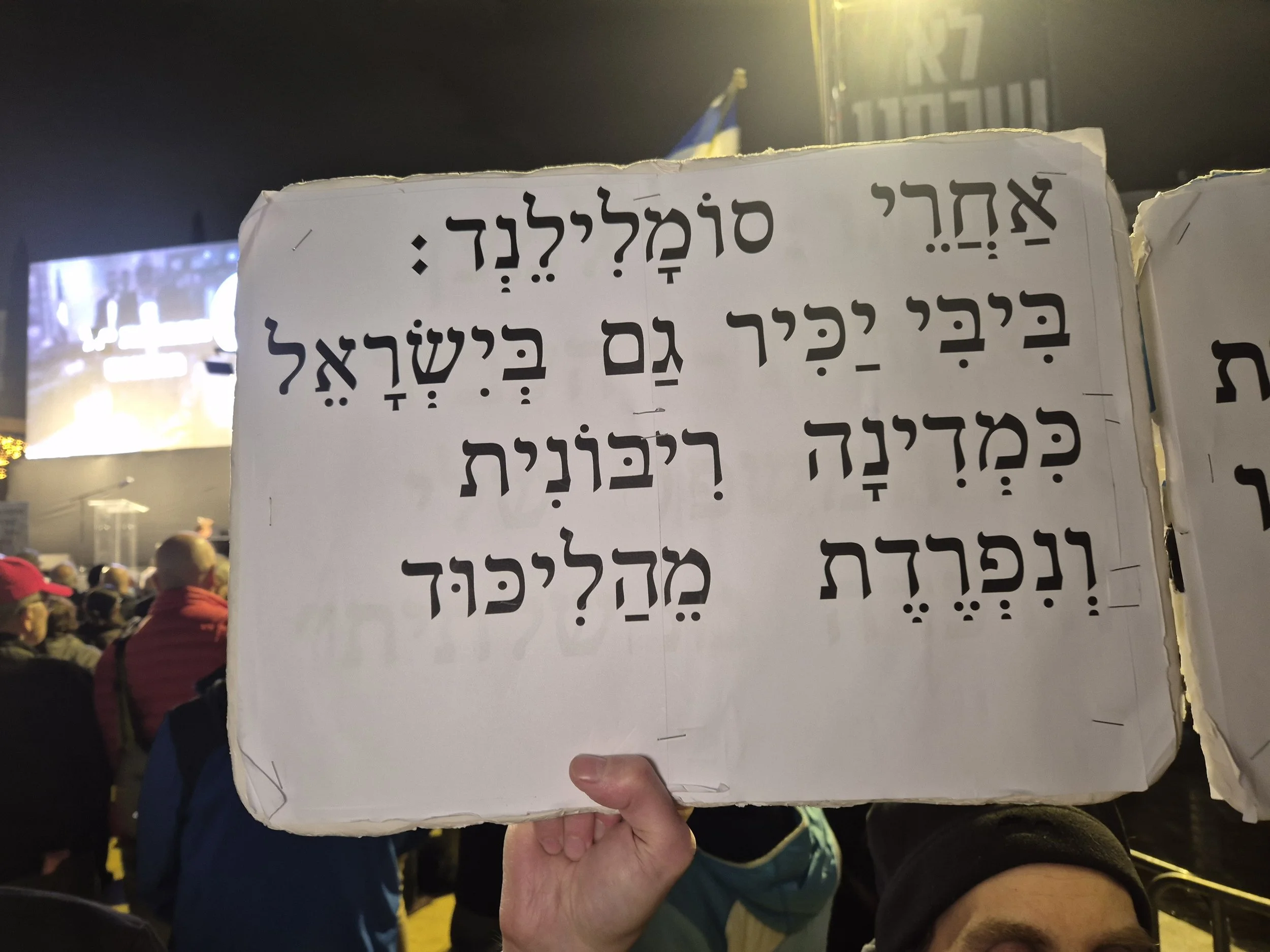 DemoSigns_Democracy_27122025 (26).jpg