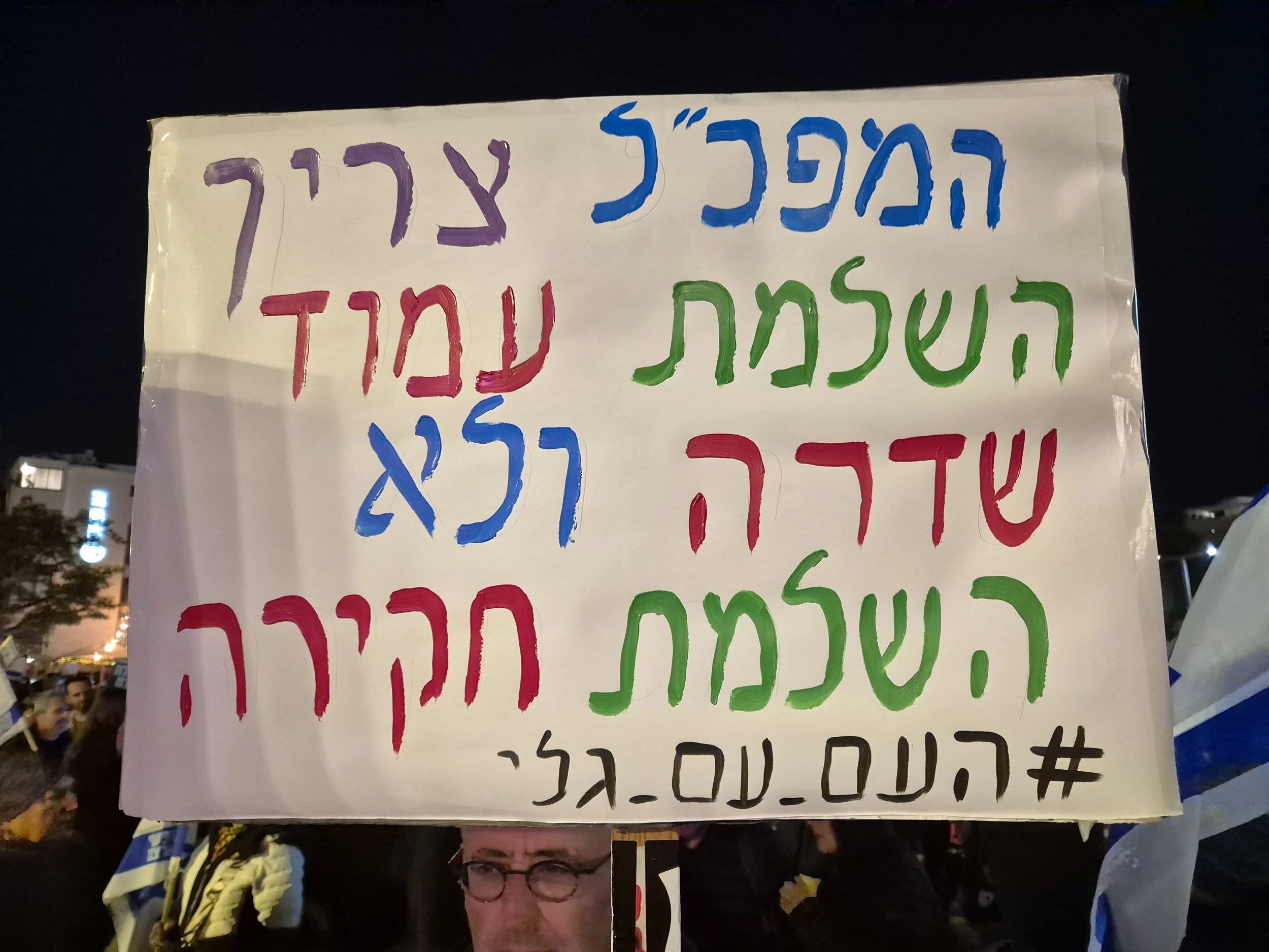 DemoSign_Democracy_03012026 (13).jpg