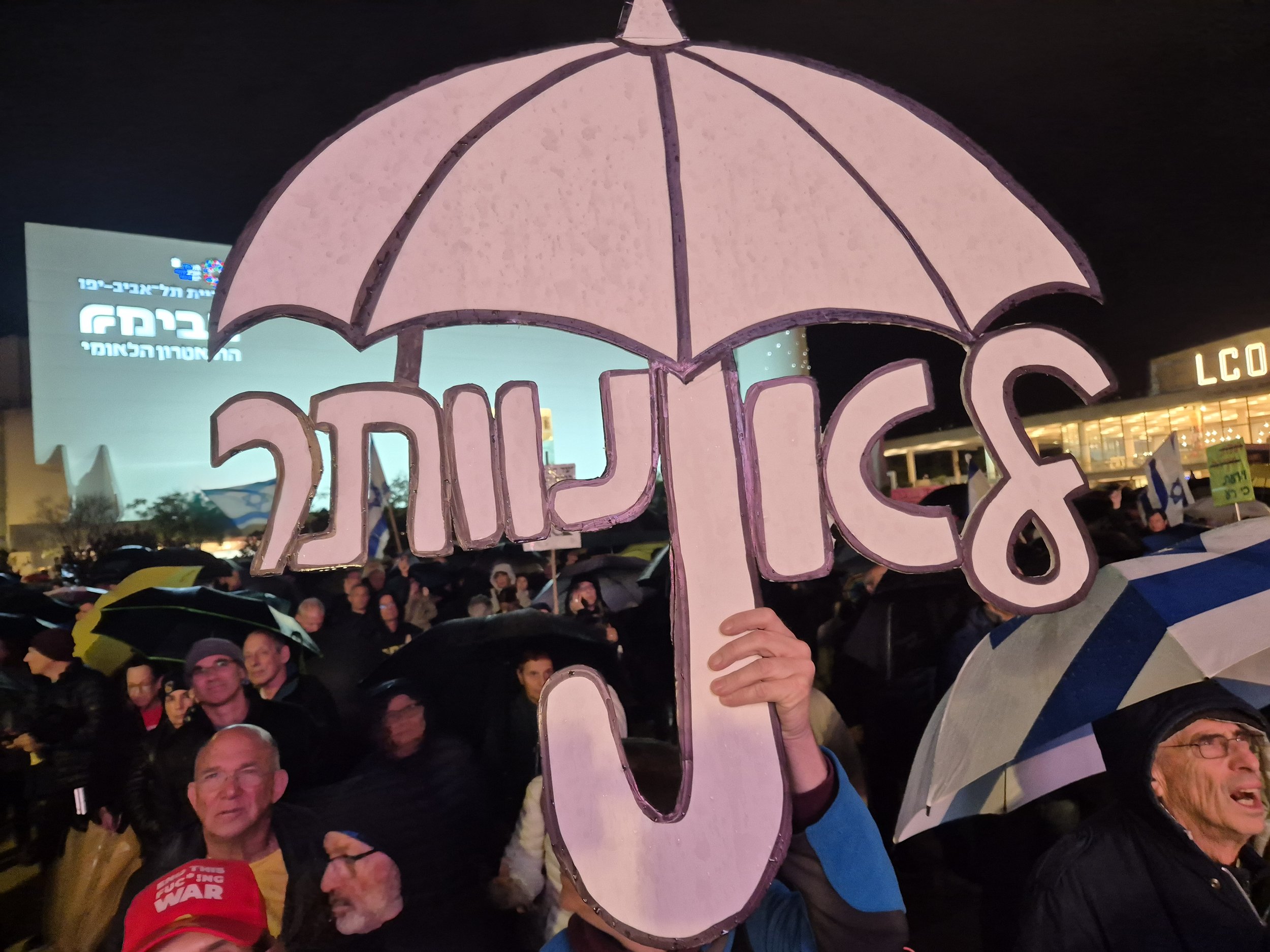 DemoSigns_Democracy_27122025 (18).jpg