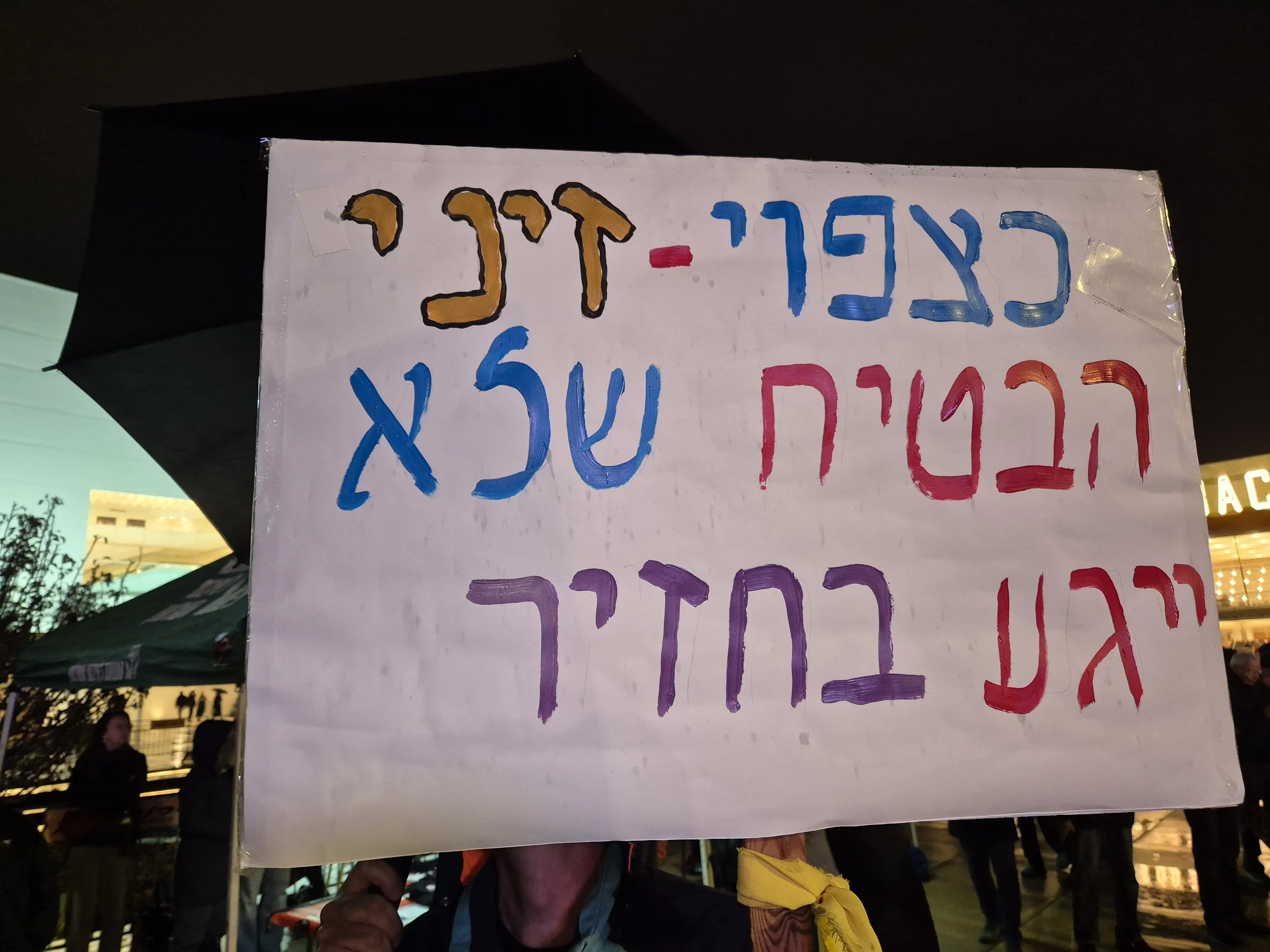 DemoSigns_Democracy_27122025 (8).jpg