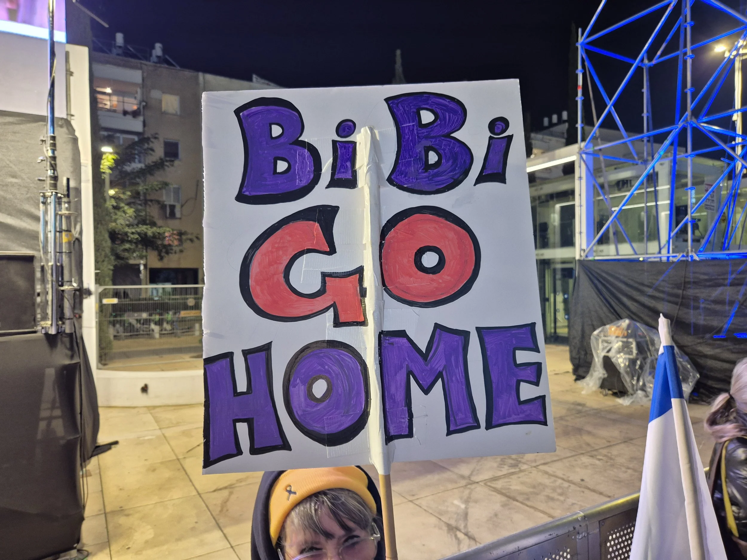 DemoSigns_Democracy_10012026 (13).jpg