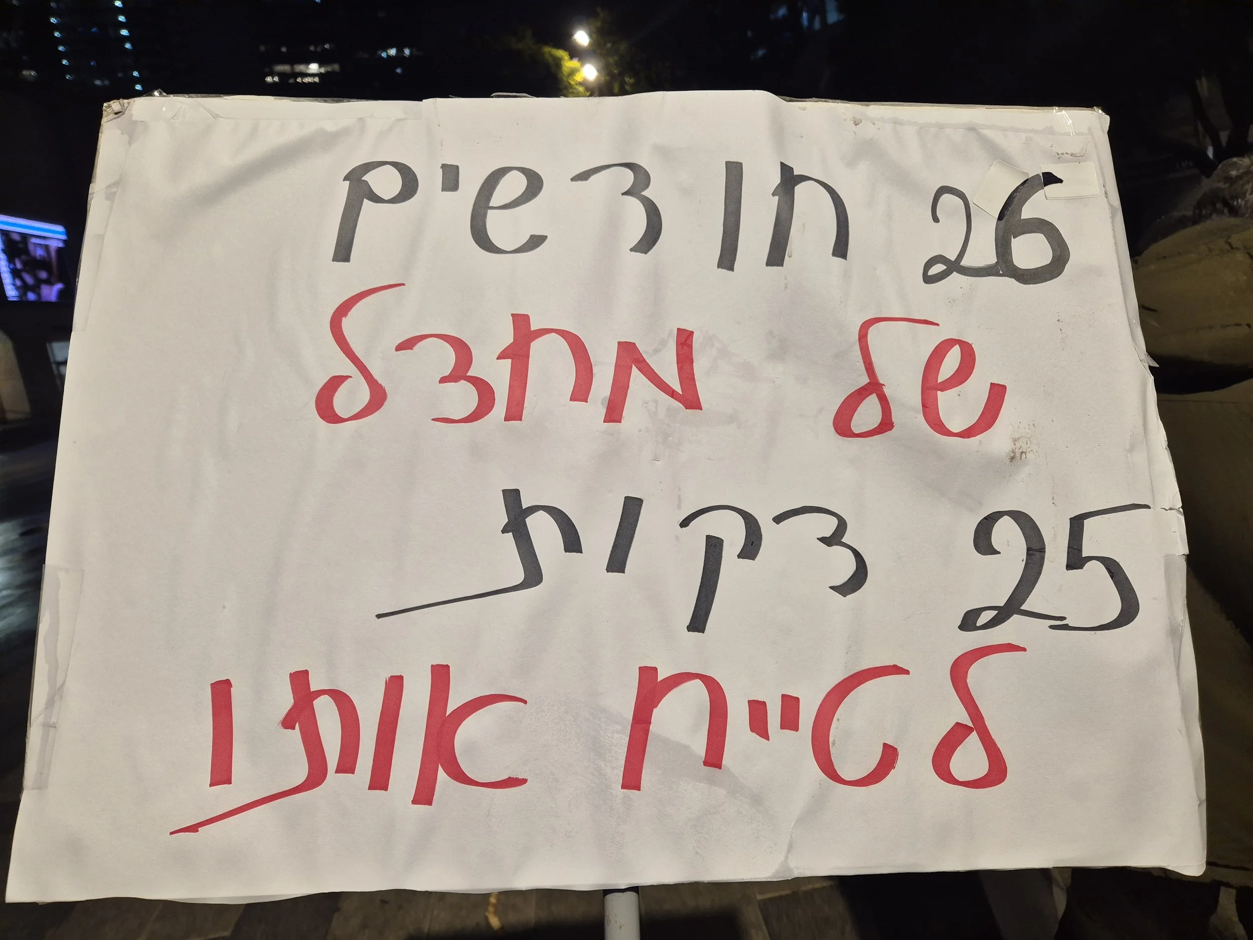 DemoSigns_Democracy_27122025 (27).jpg