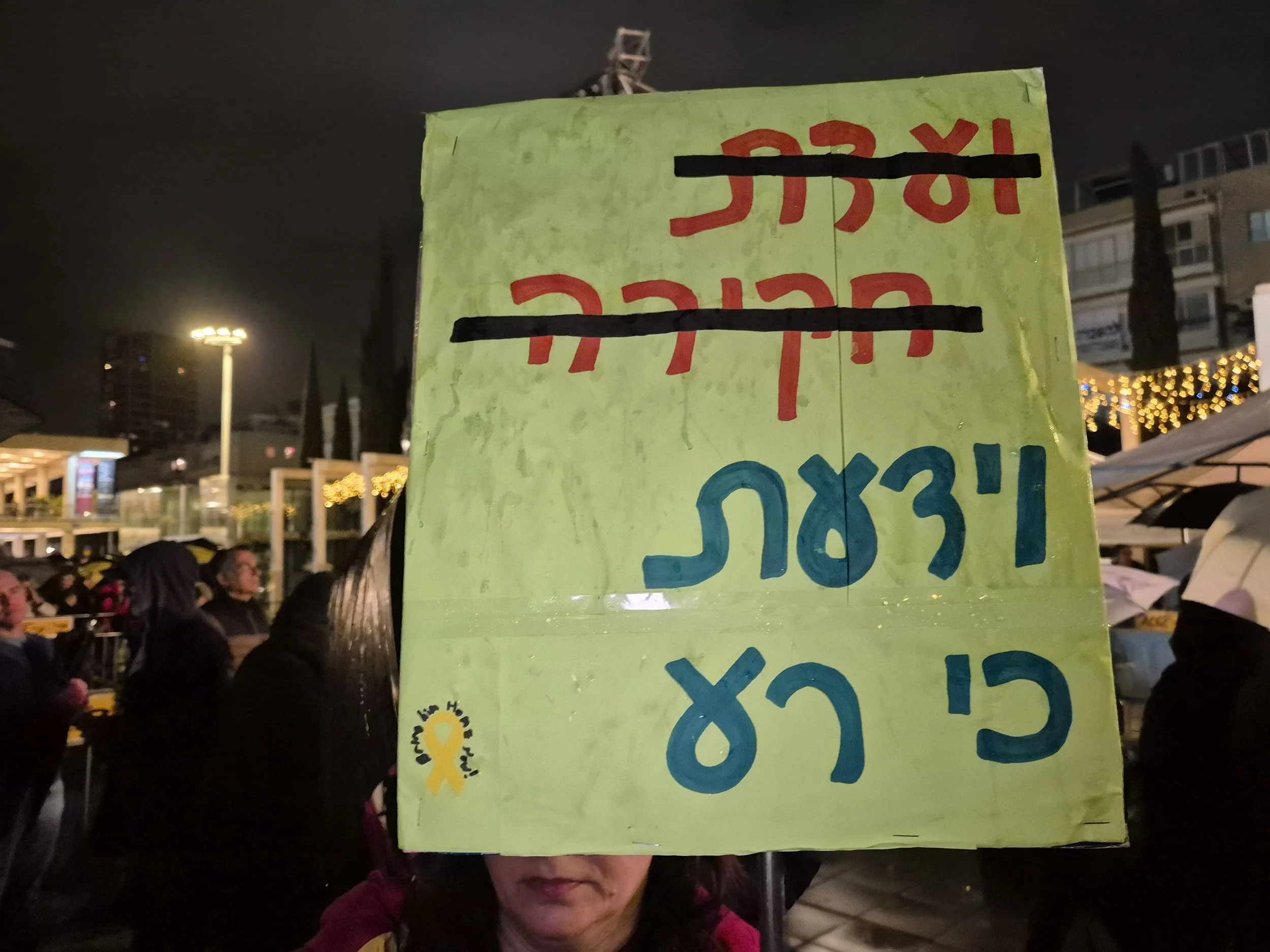 DemoSigns_Democracy_27122025 (21).jpg