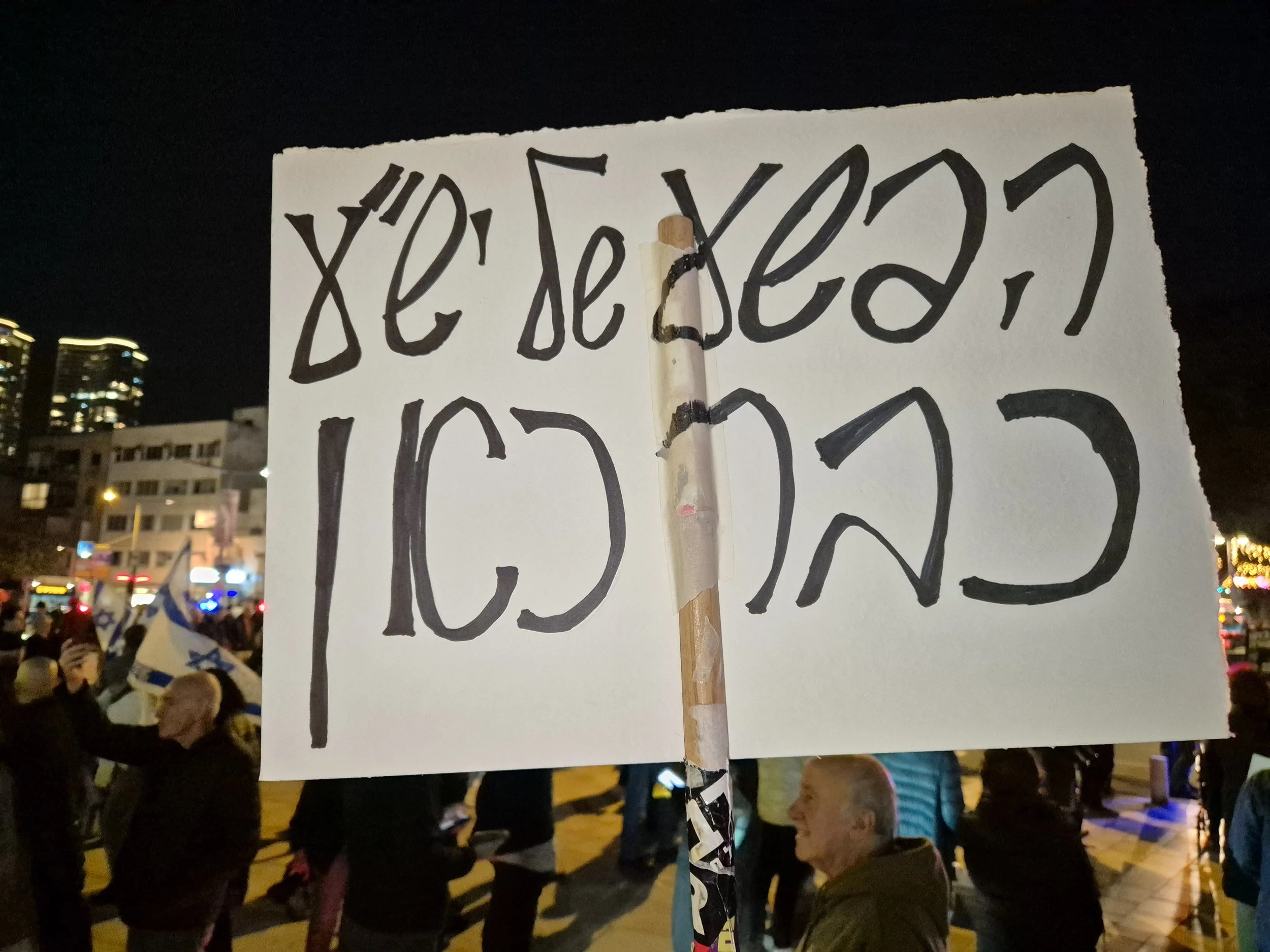 _DemoSigns_Democracy_20122025 (13).jpg