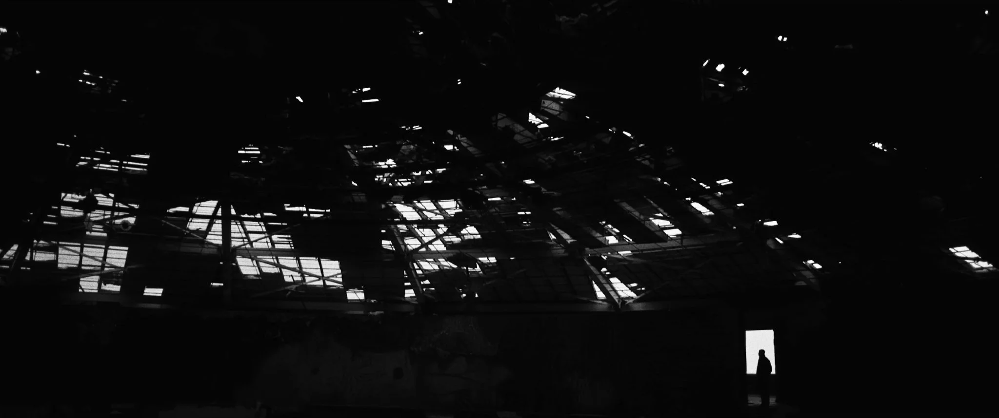 Extinction 2018_1.1.59.jpg