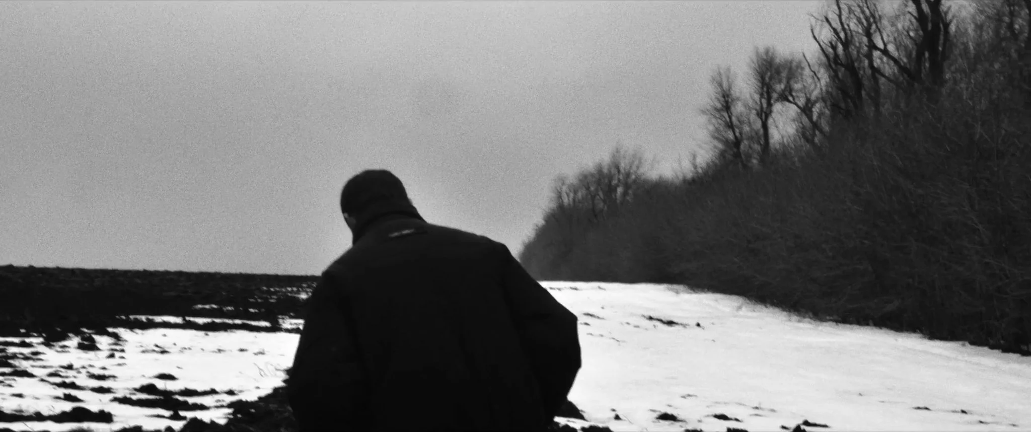 Extinction 2018_1.1.96.jpg