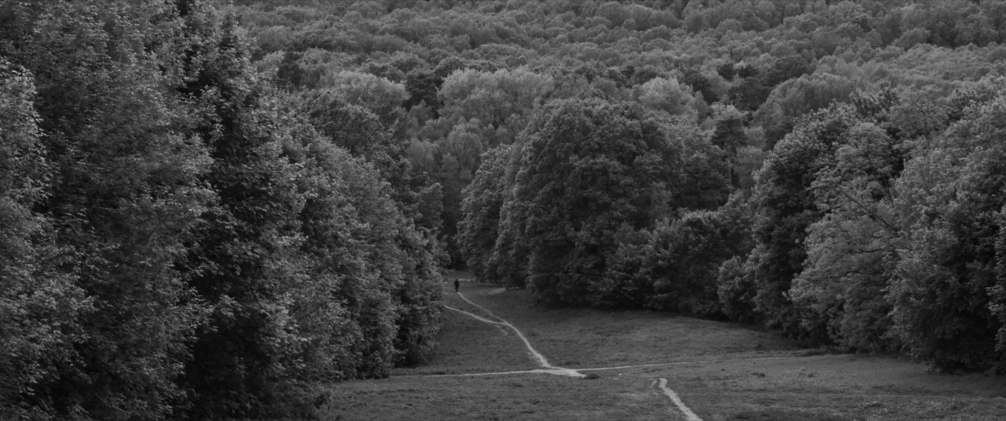 Extinction 2018_1.1.99.jpg