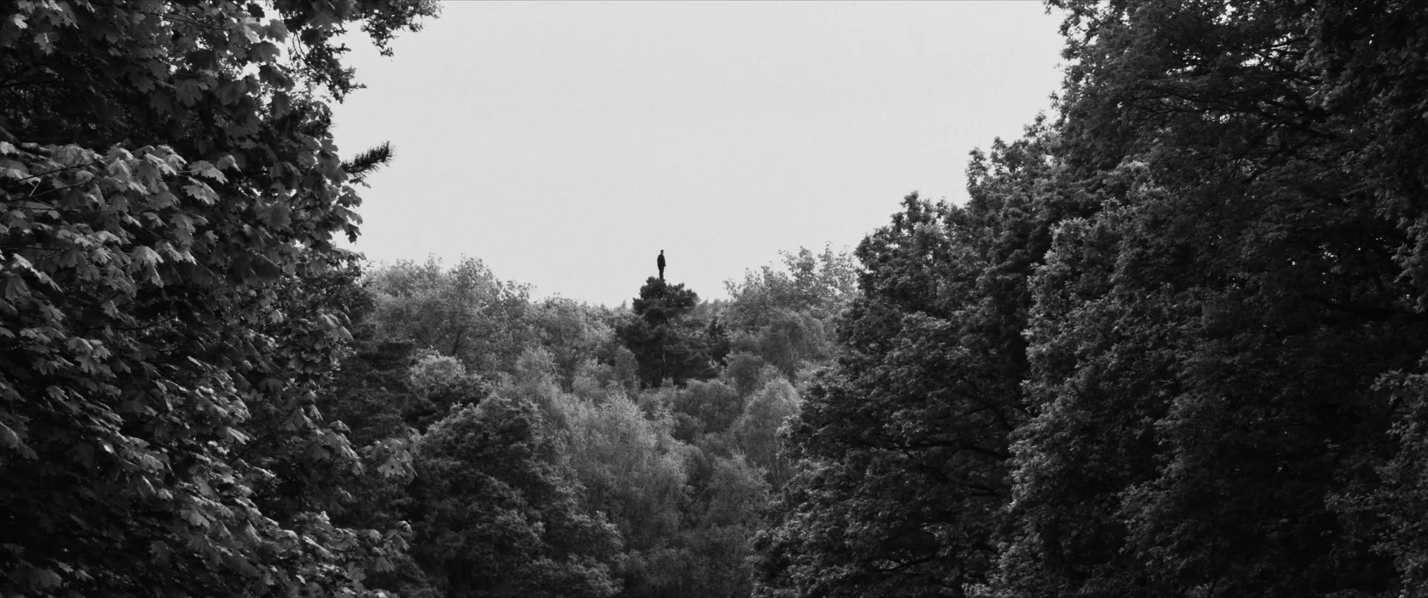 Extinction 2018_1.1.102.jpg