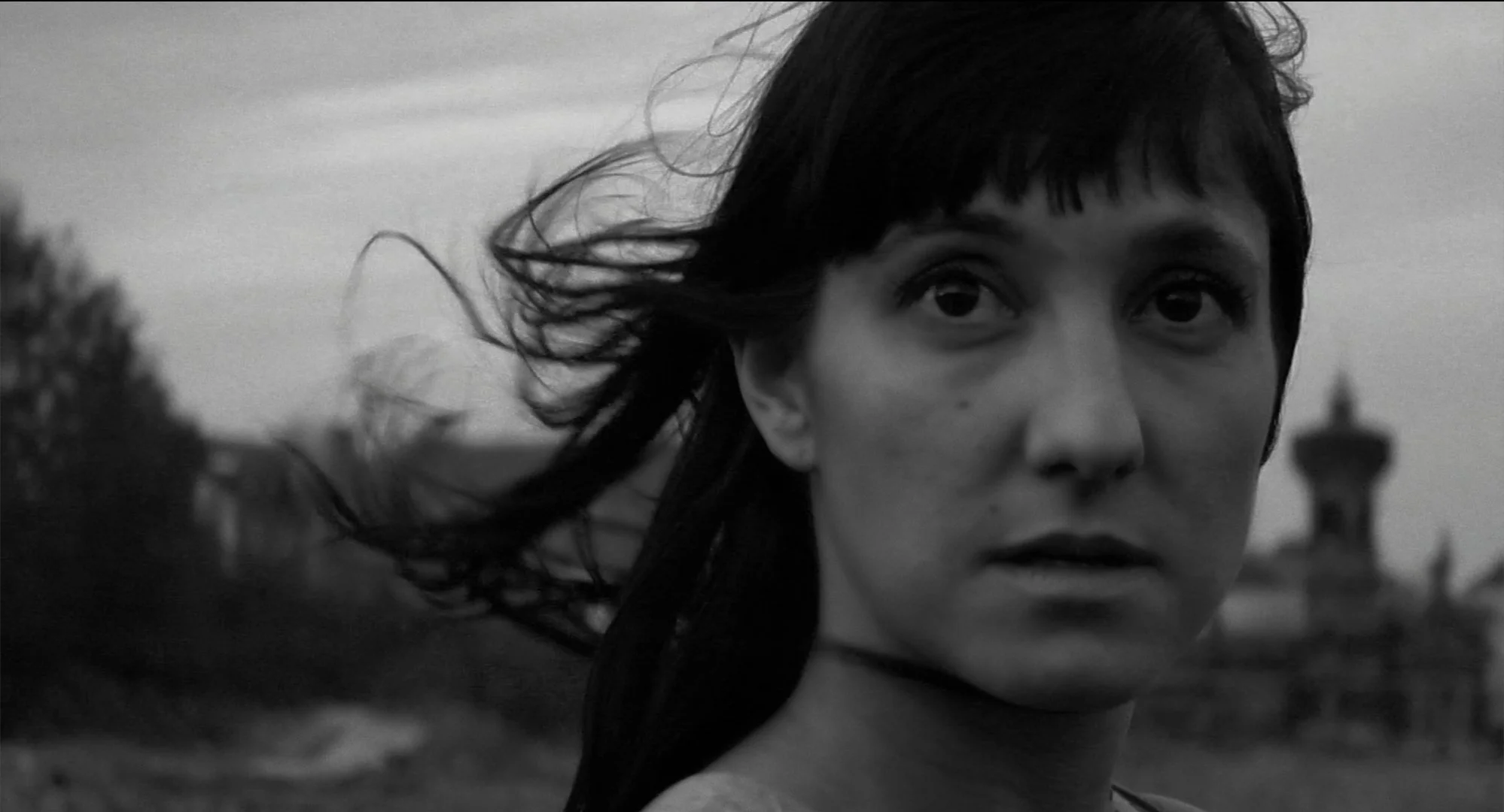Cinetica_1.1.15.jpg