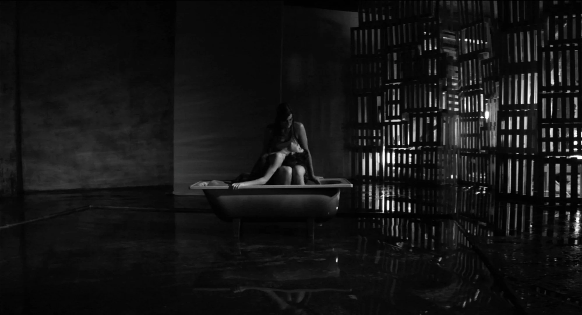 Cinetica_1.1.55.jpg