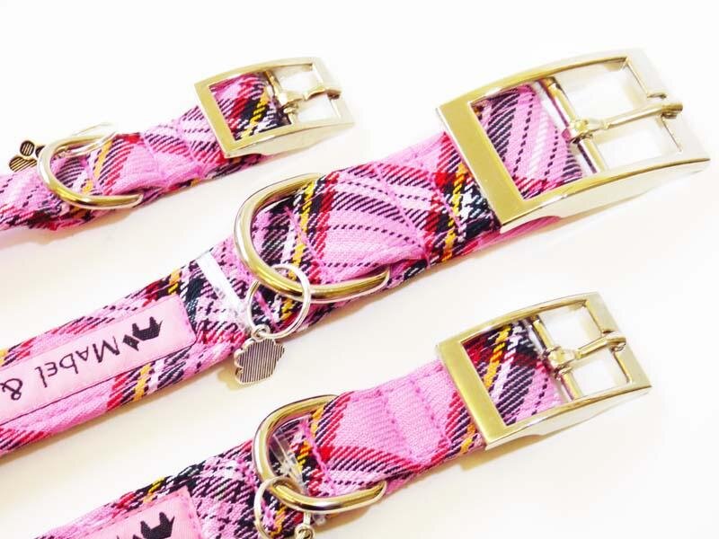 BUCKLESWILDDIAG_1080x.jpg