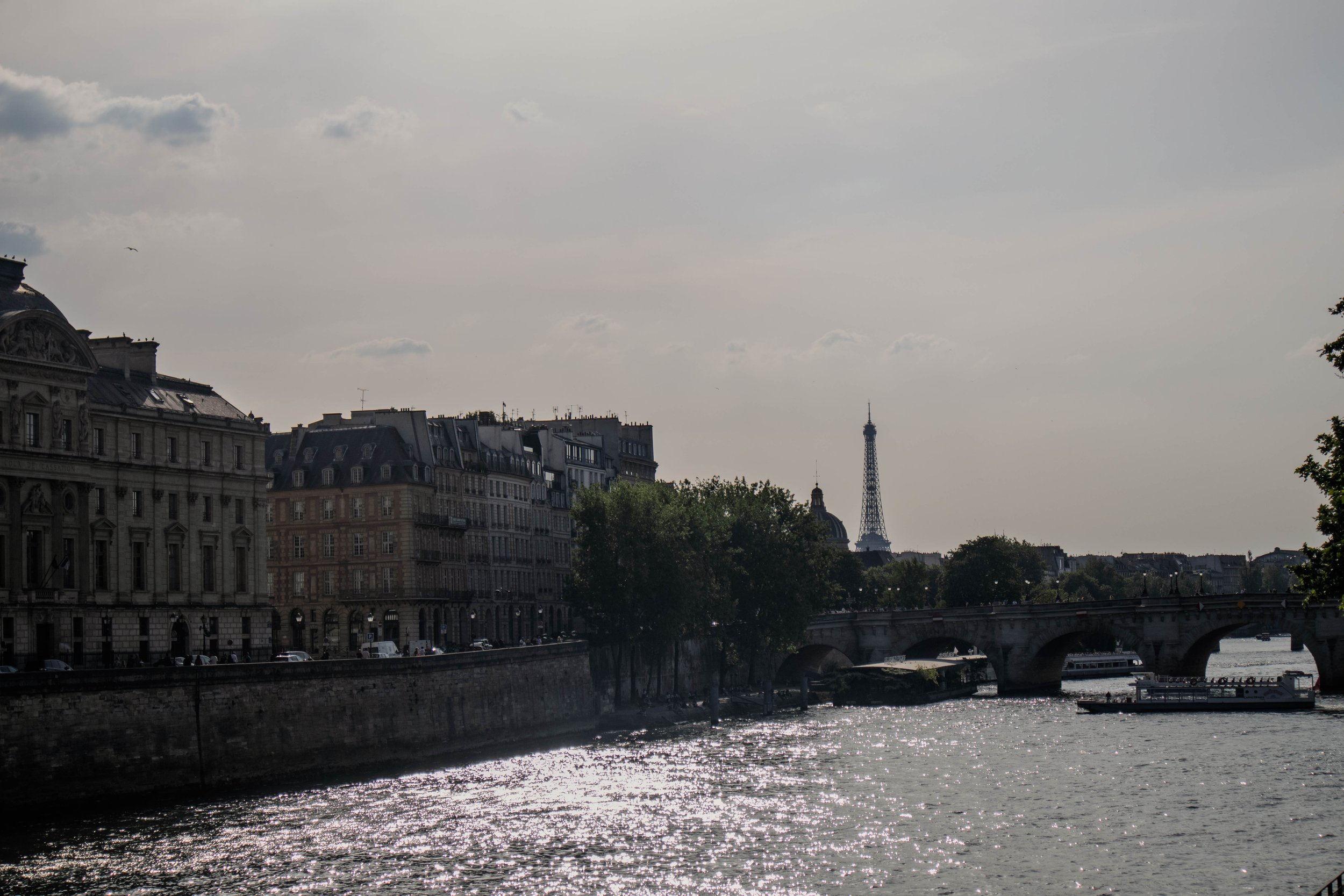 tour eiffel du pont neuf.jpg