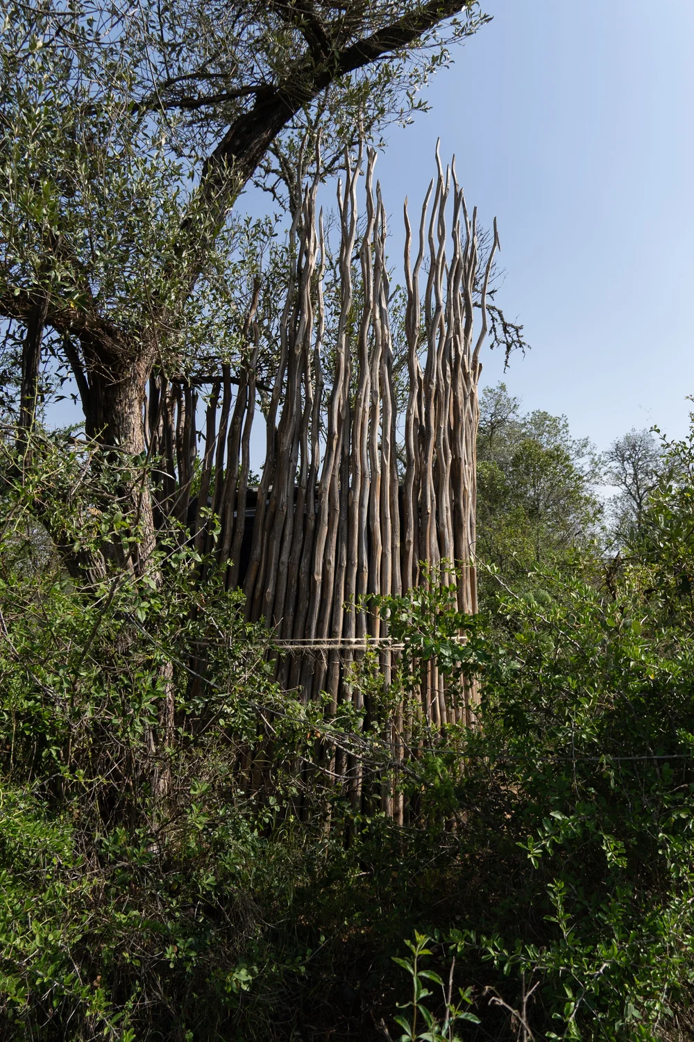 Nature Housing — Lolldaiga Valley